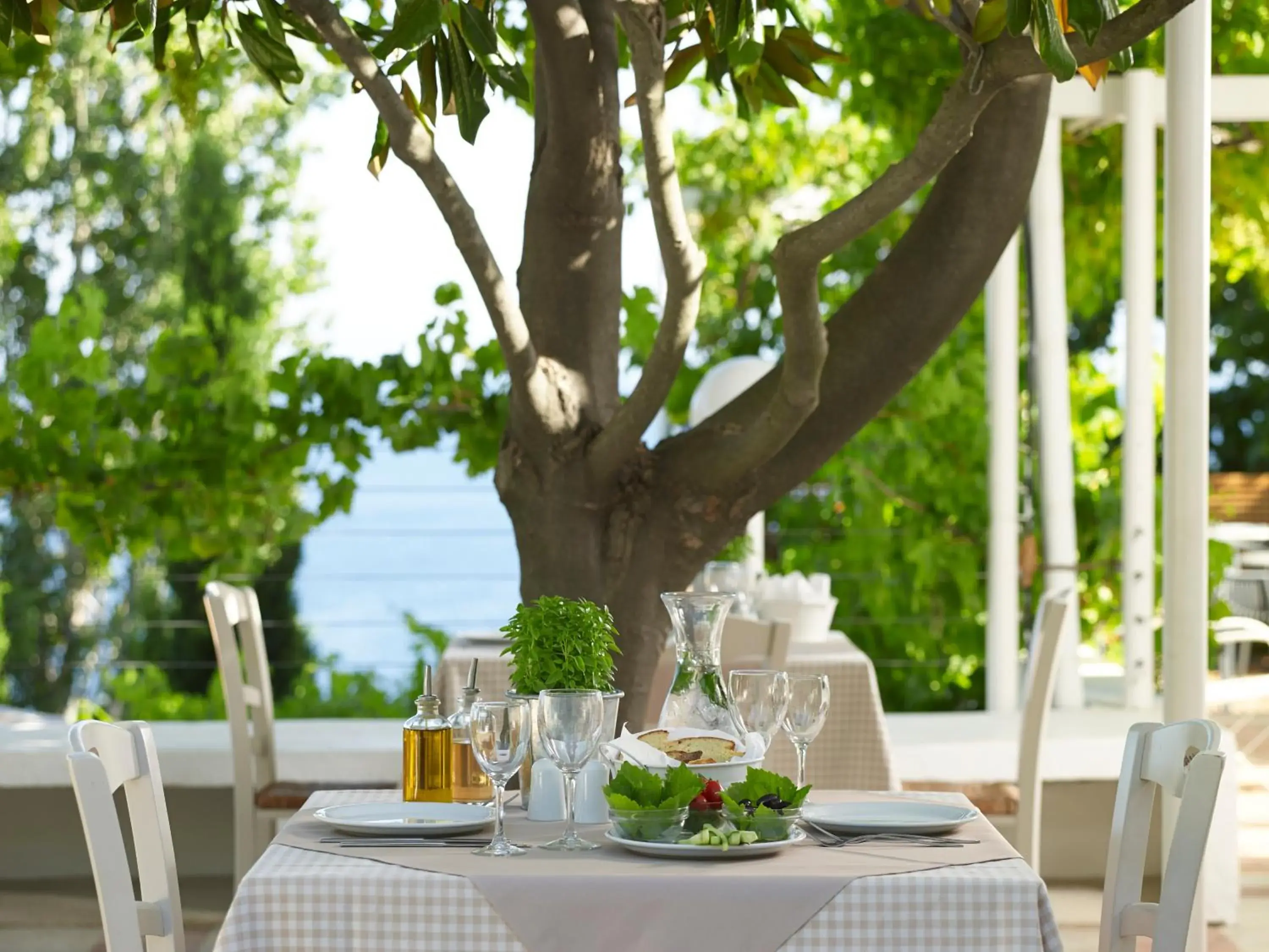 Restaurant/places to eat in Atrium Hotel Restaurant/places to eat in Atrium Hotel