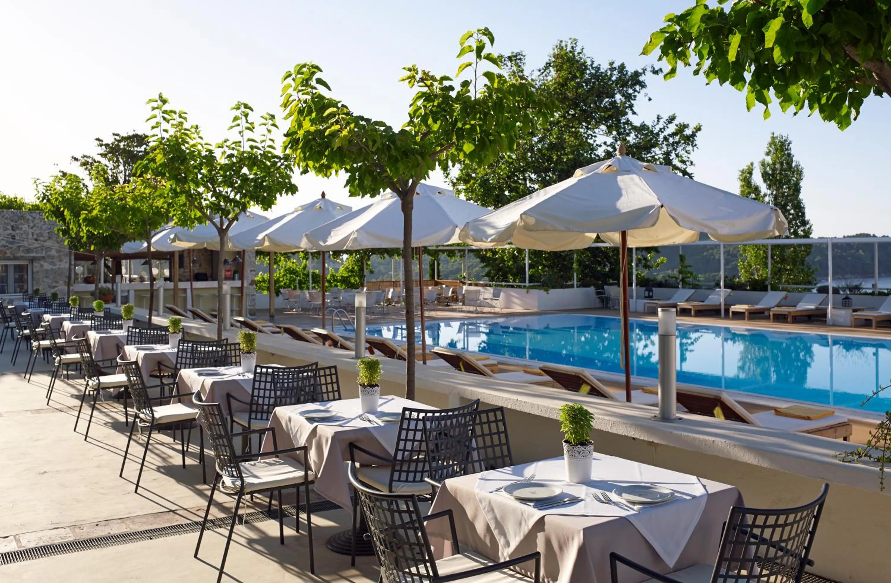 Patio in Atrium Hotel