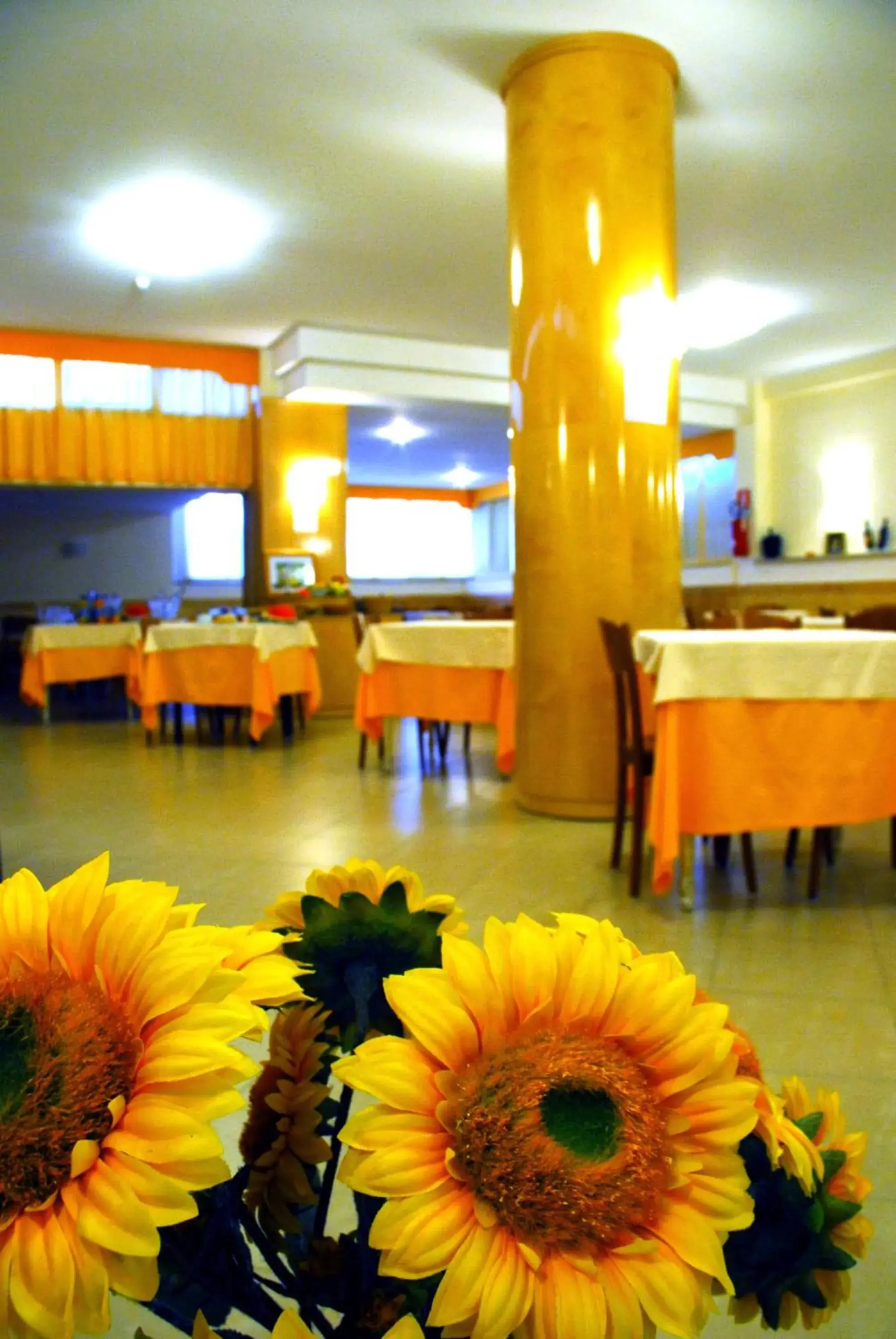 Lounge or bar in Grazia Hotel Lounge or bar in Grazia Hotel