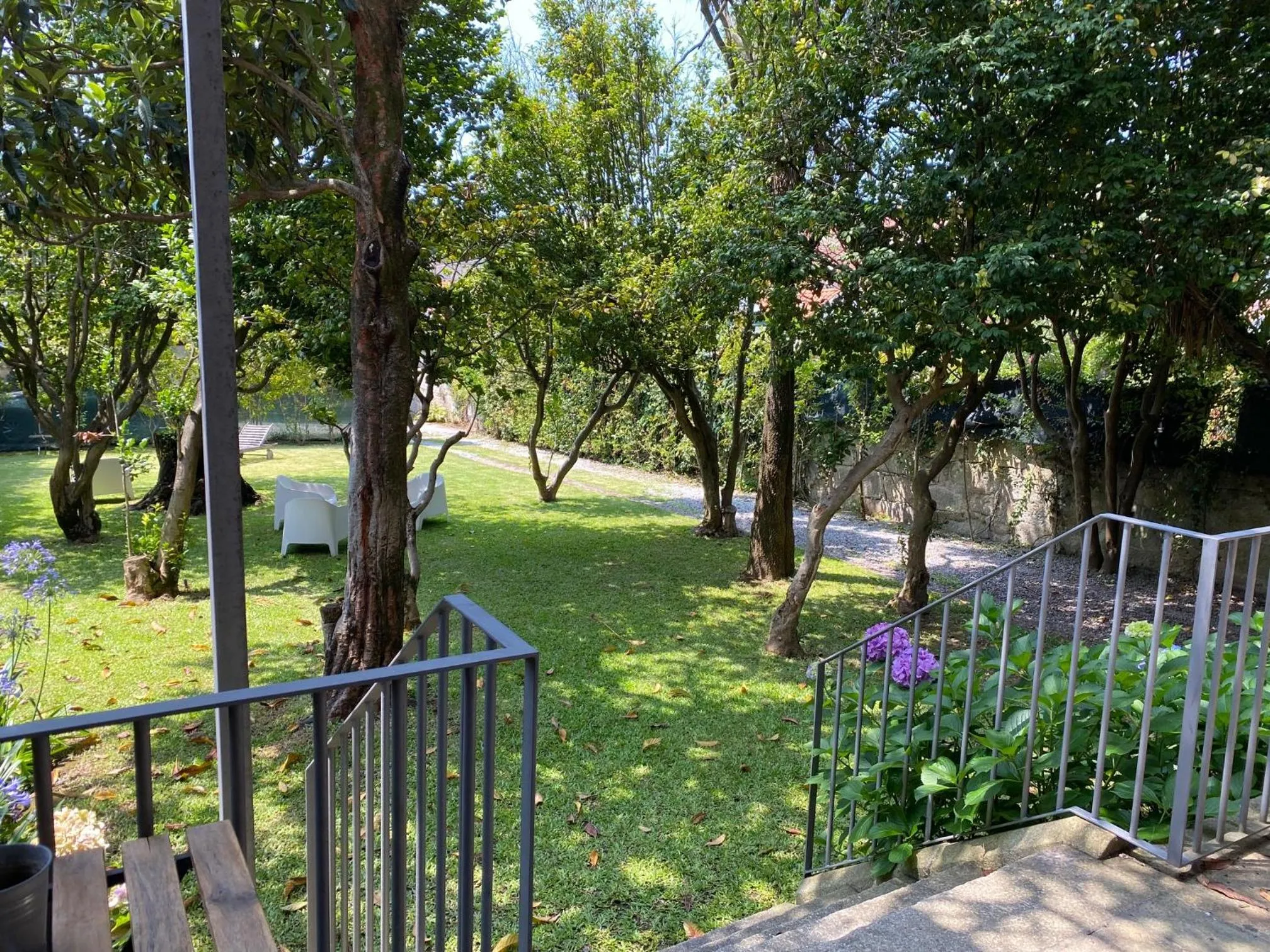 Garden view in Koolhouse Porto