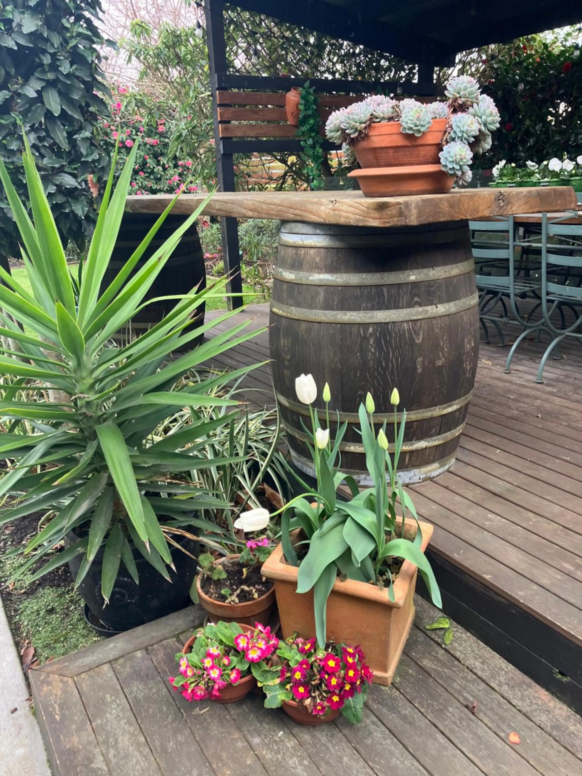 Garden in Maples on Harewood