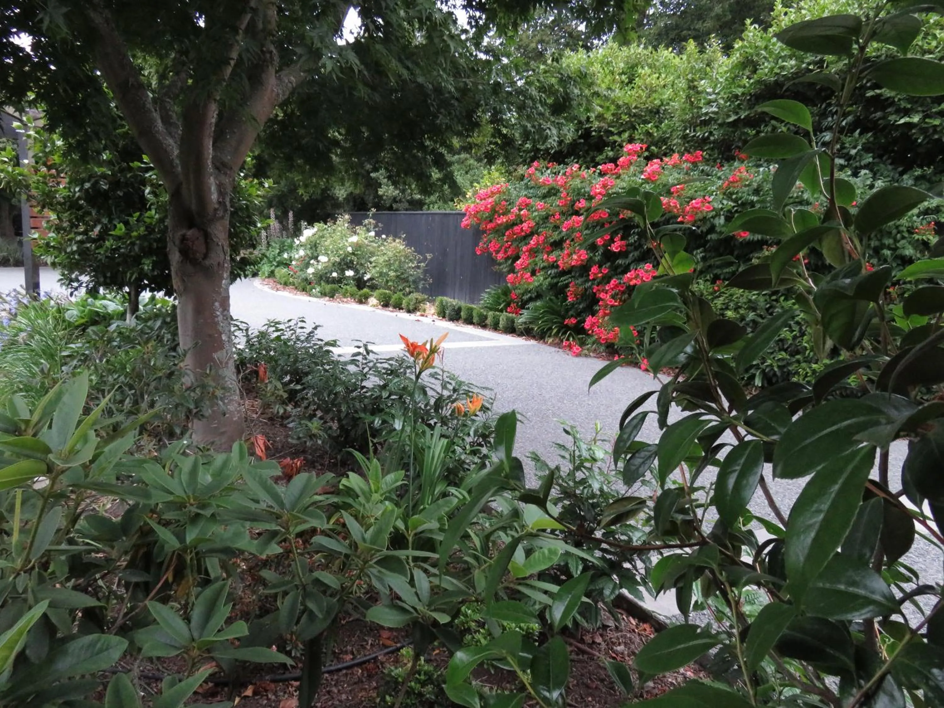 Garden view in Maples on Harewood