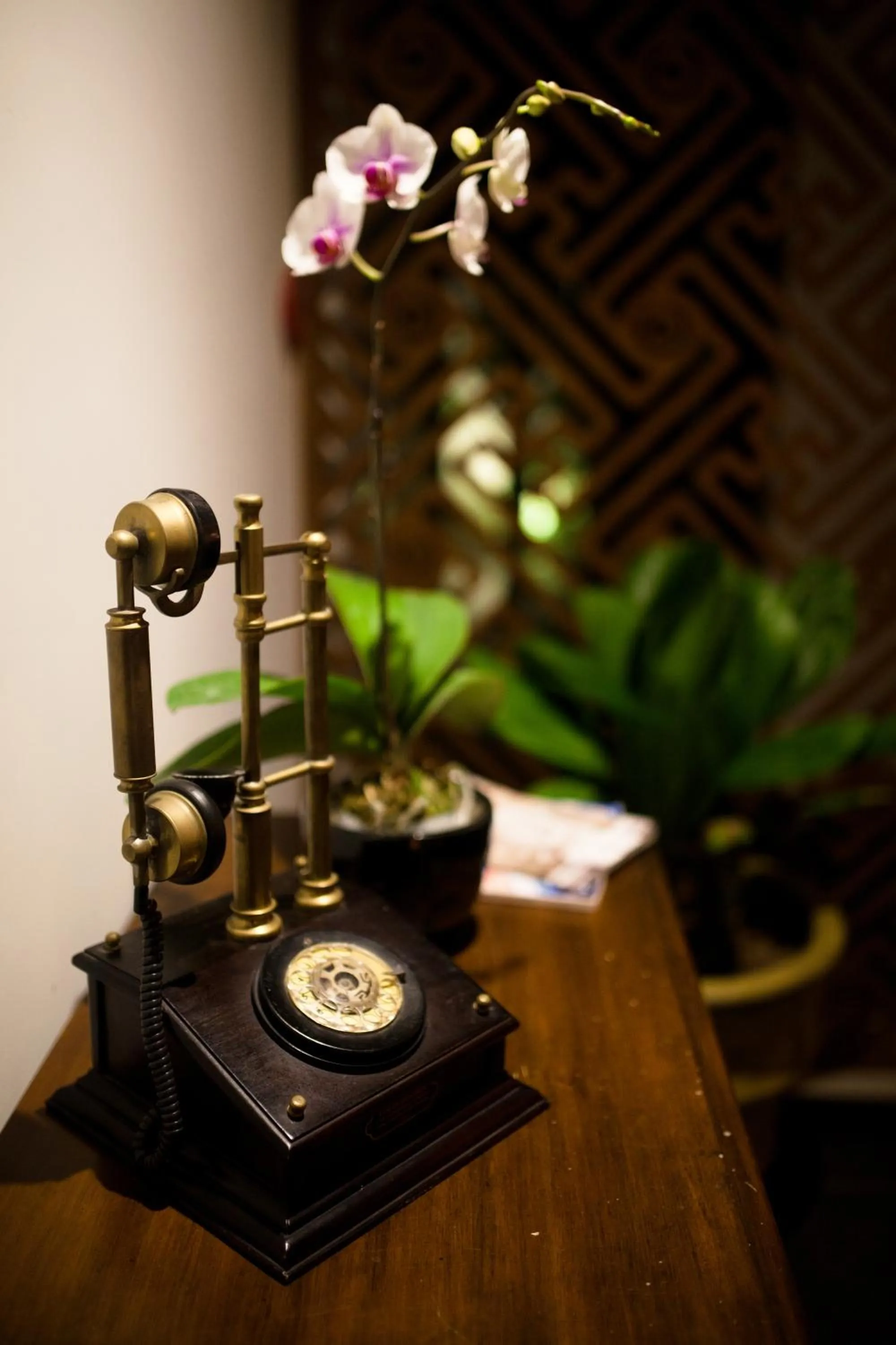 Decorative detail in Dan Oasis Hotel and Apartment