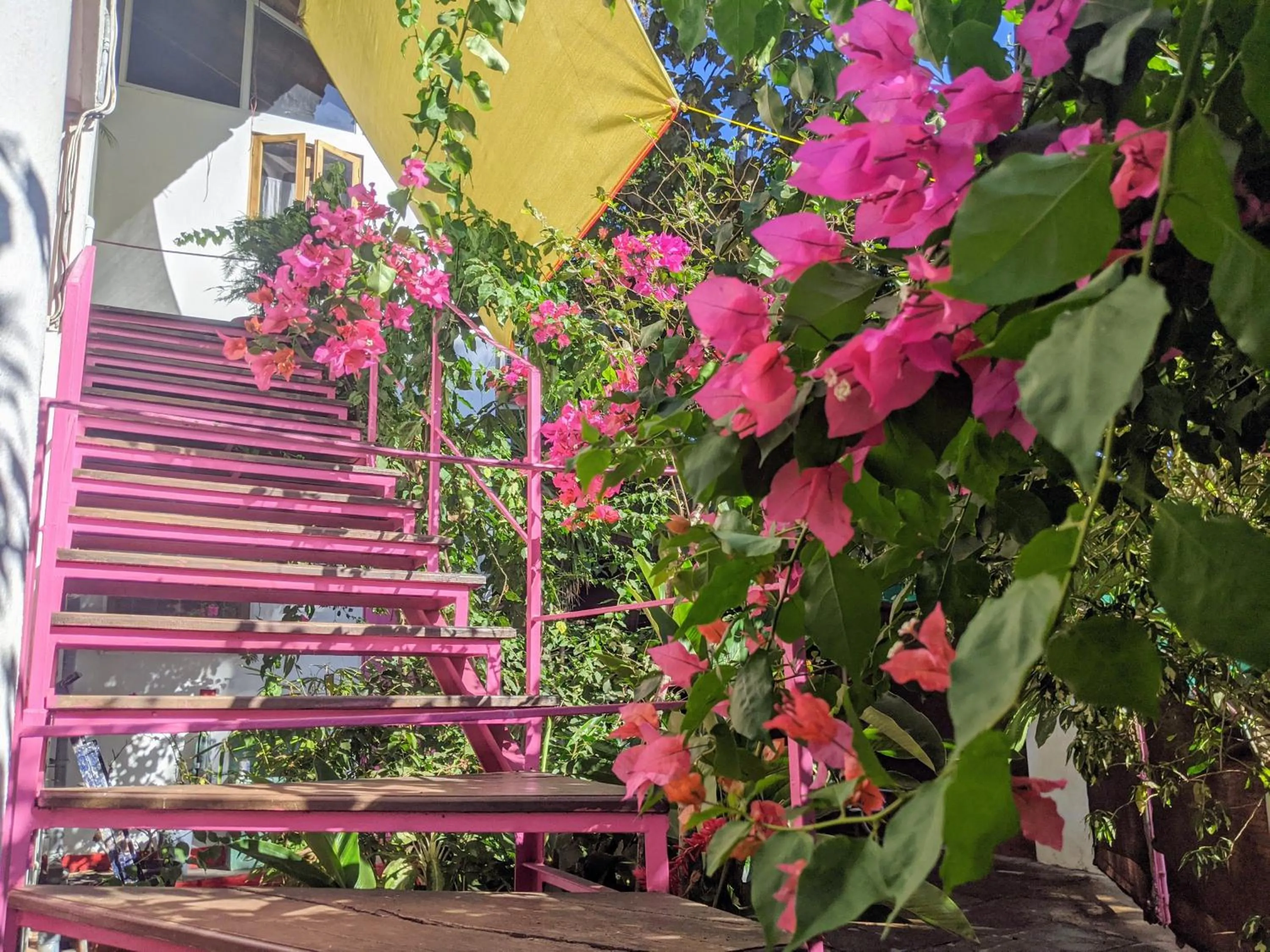 Facade/entrance in Michèle's Garden