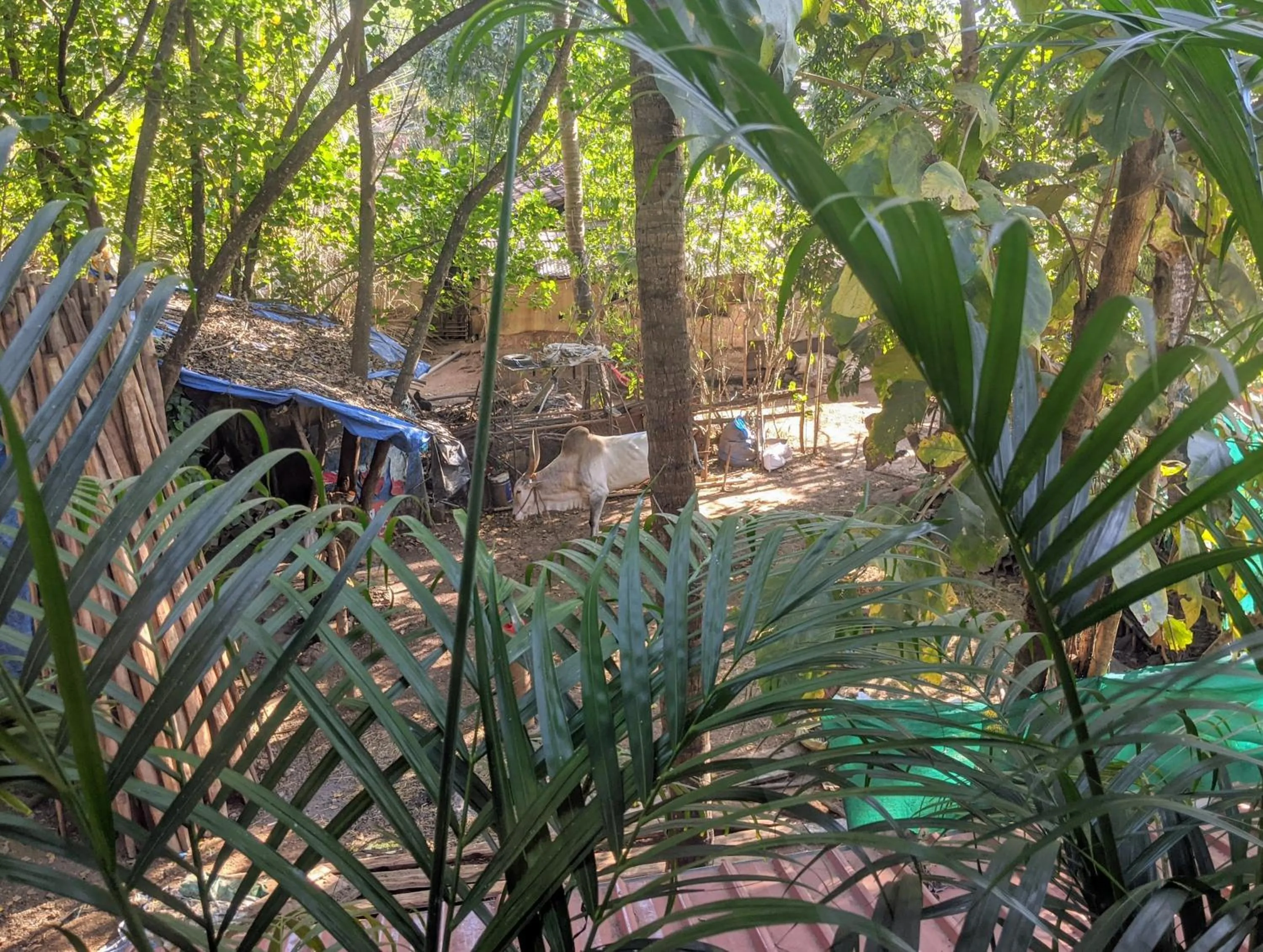 Garden in Michèle's Garden