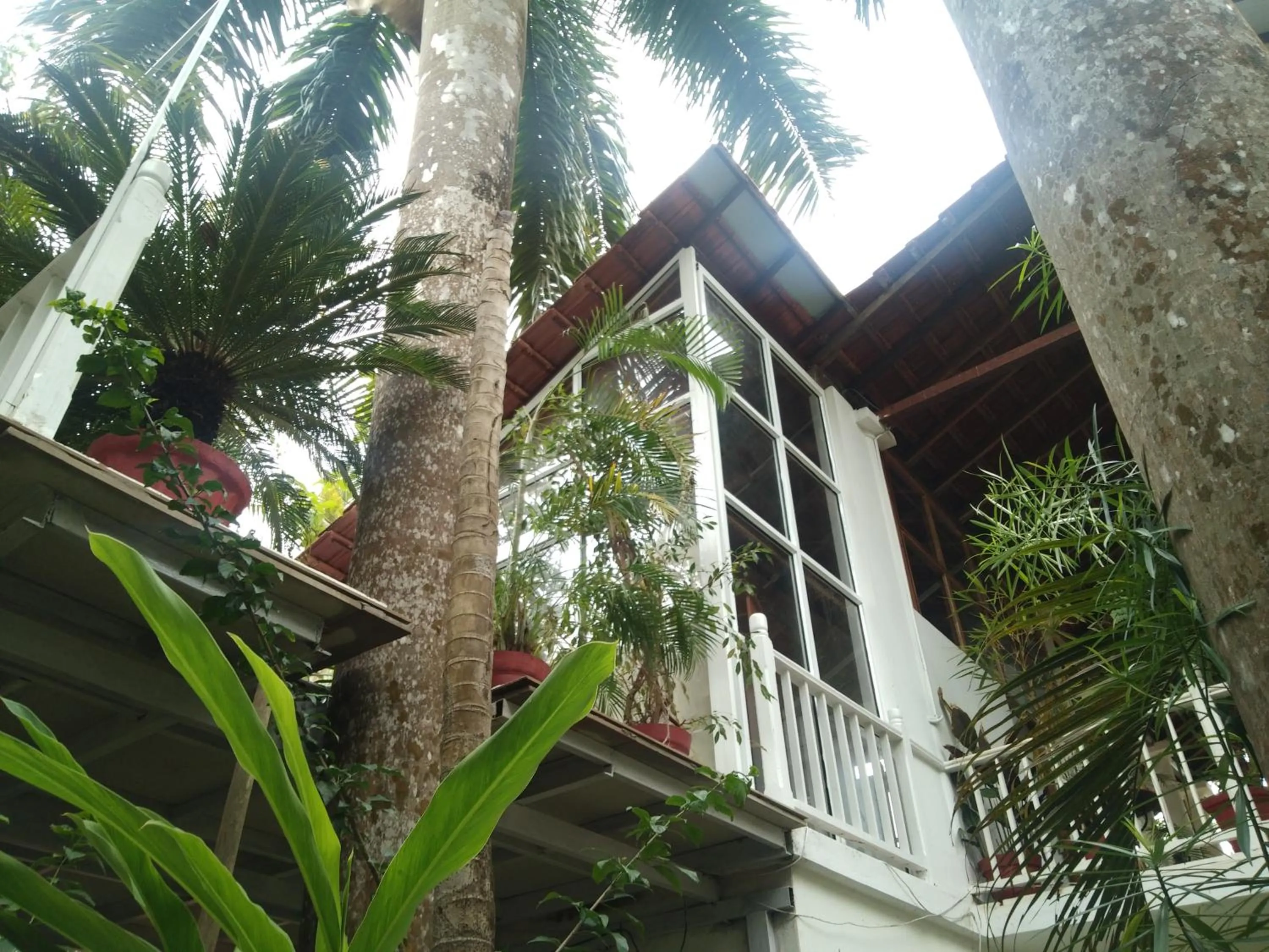 Garden in Michèle's Garden