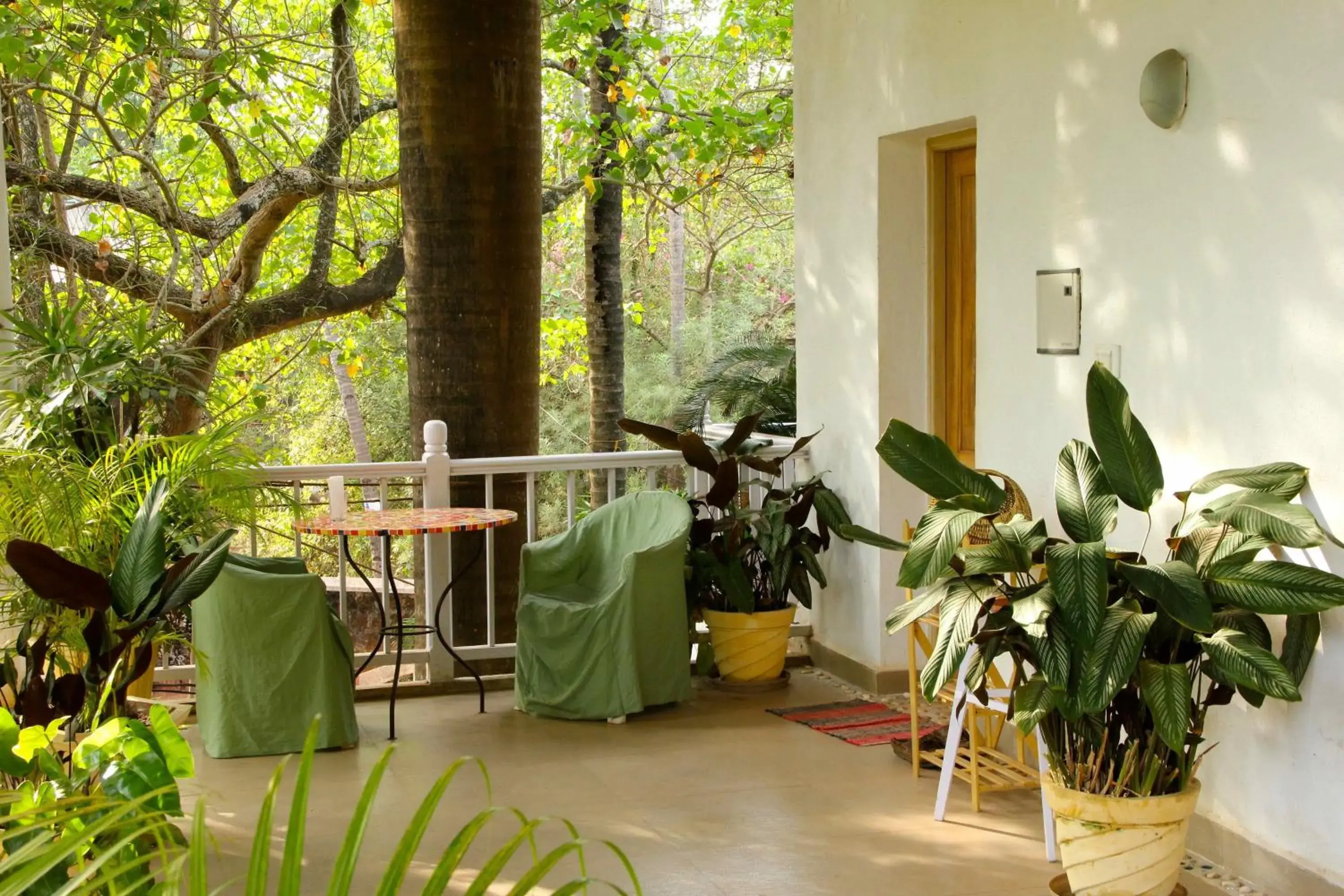 Spacious Room in Michèle's Garden Spacious Room in Michèle's Garden