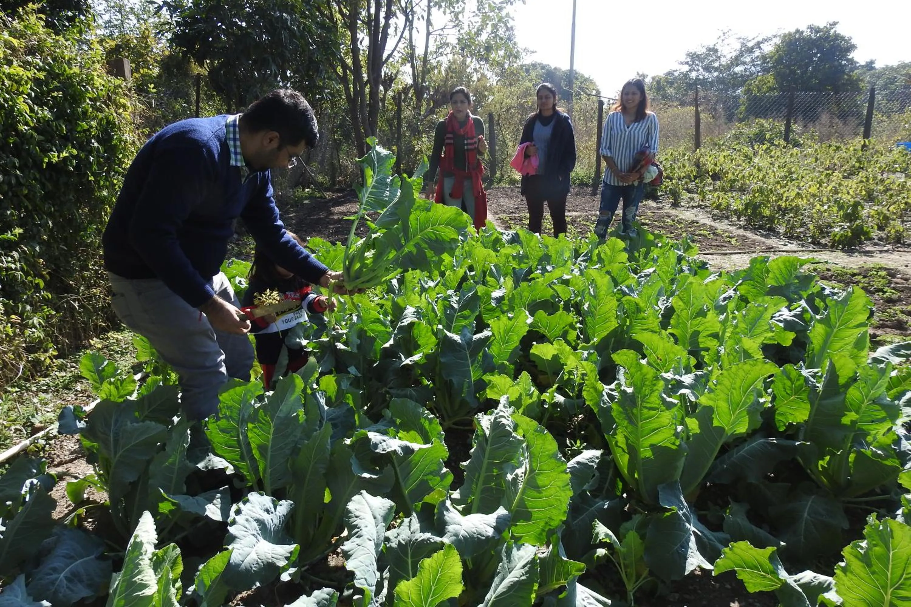 Spring in Paatlidun Safari Lodge, Jim Corbett