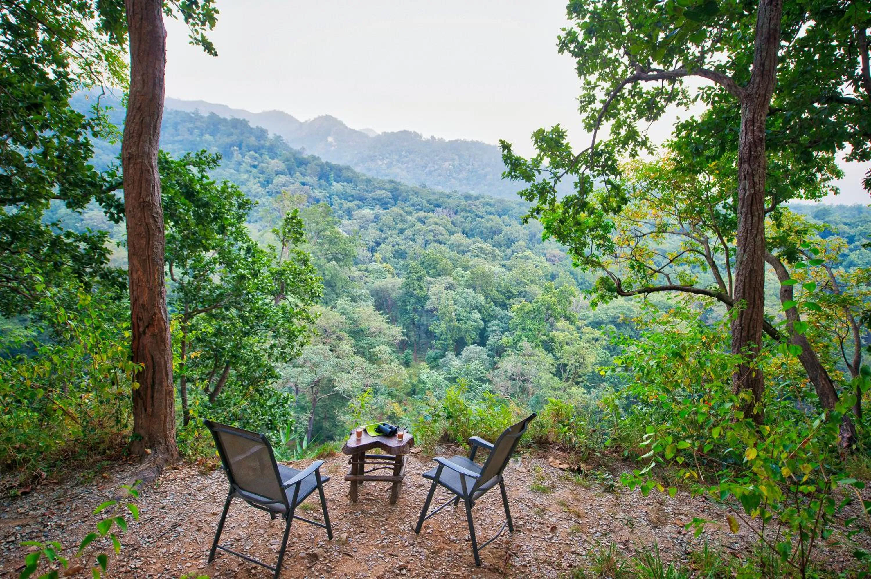 Natural landscape in Paatlidun Safari Lodge, Jim Corbett