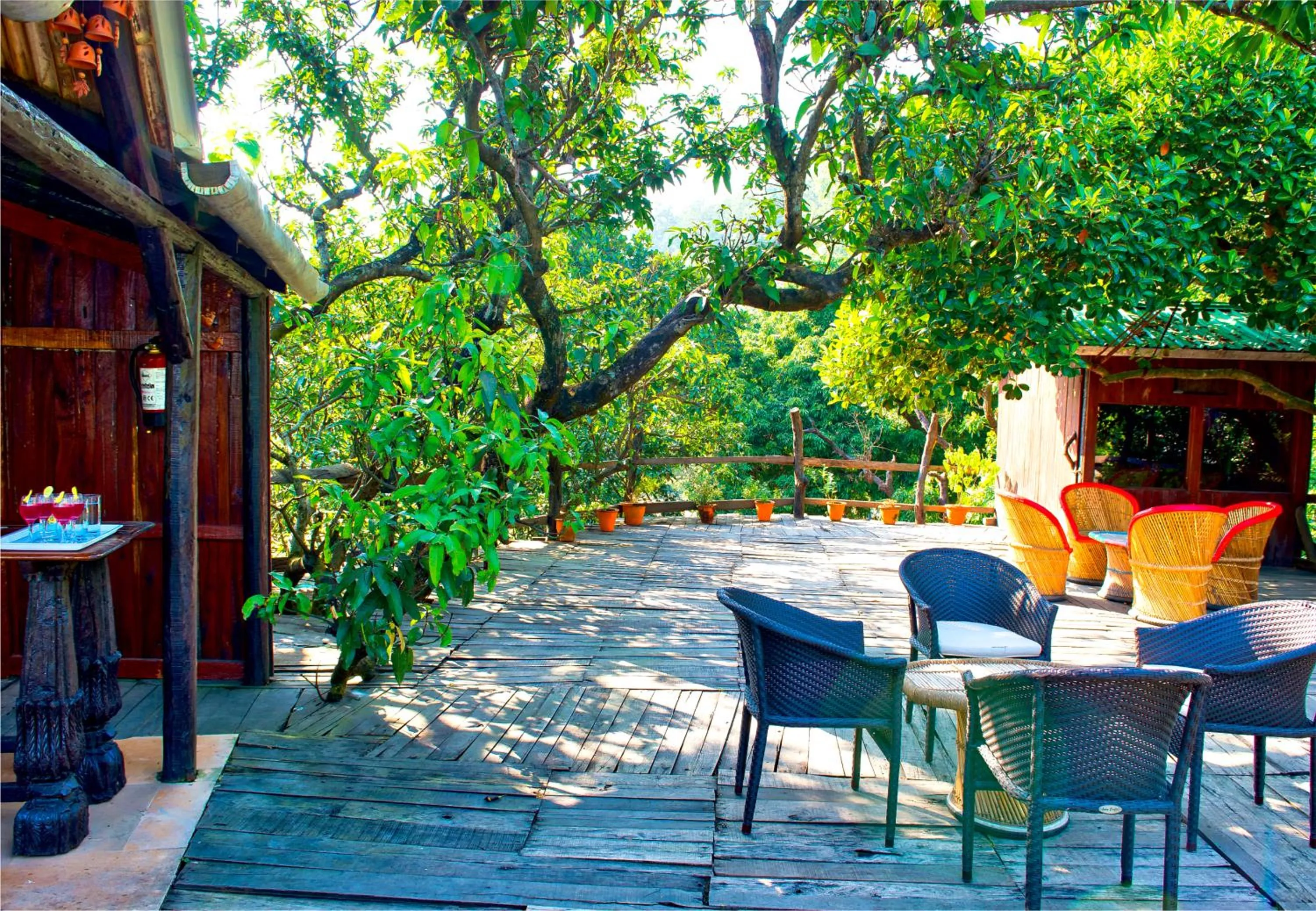 Paatlidun Safari Lodge, Jim Corbett