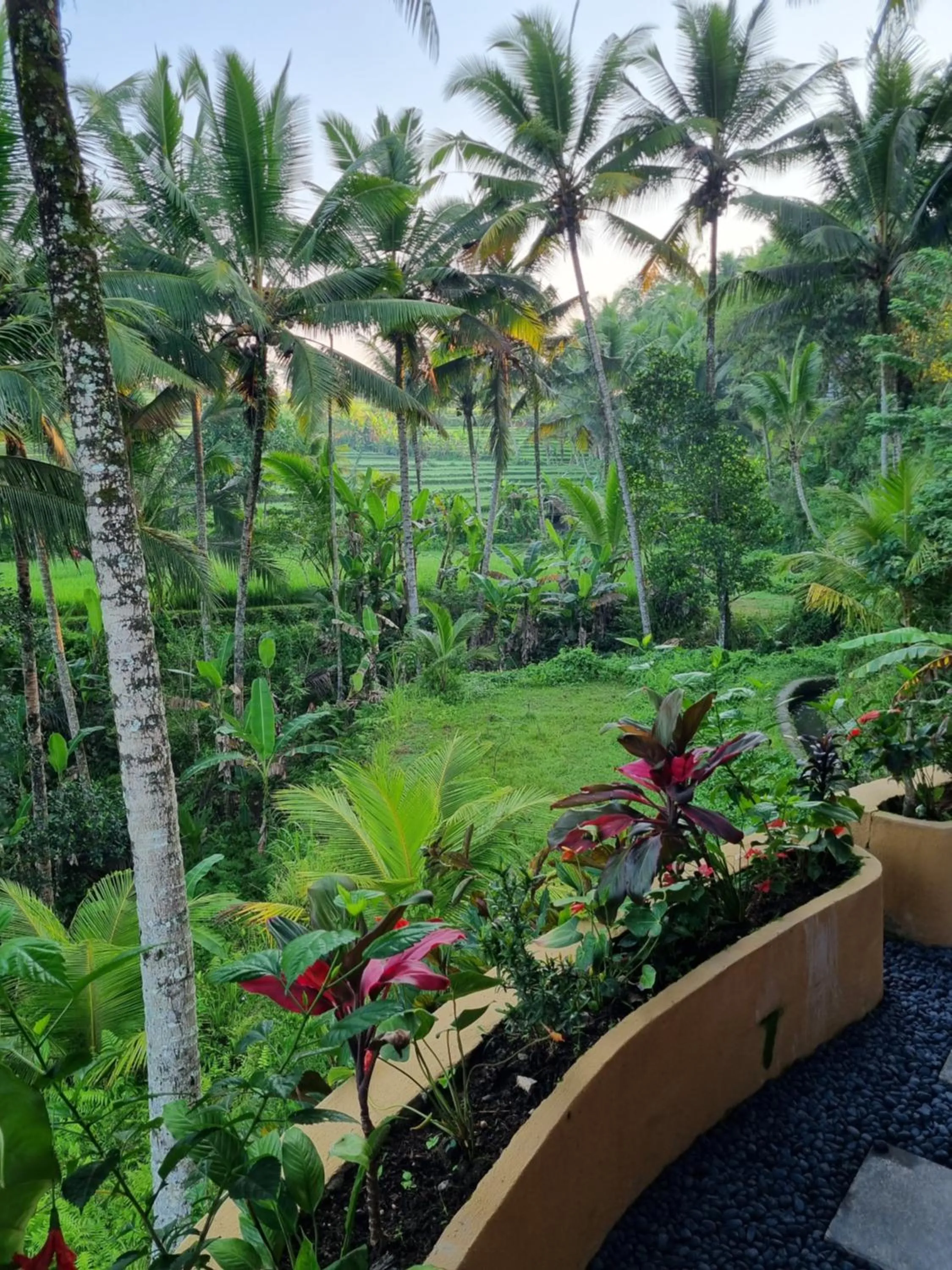View (from property/room) in Puri Sebali Resort