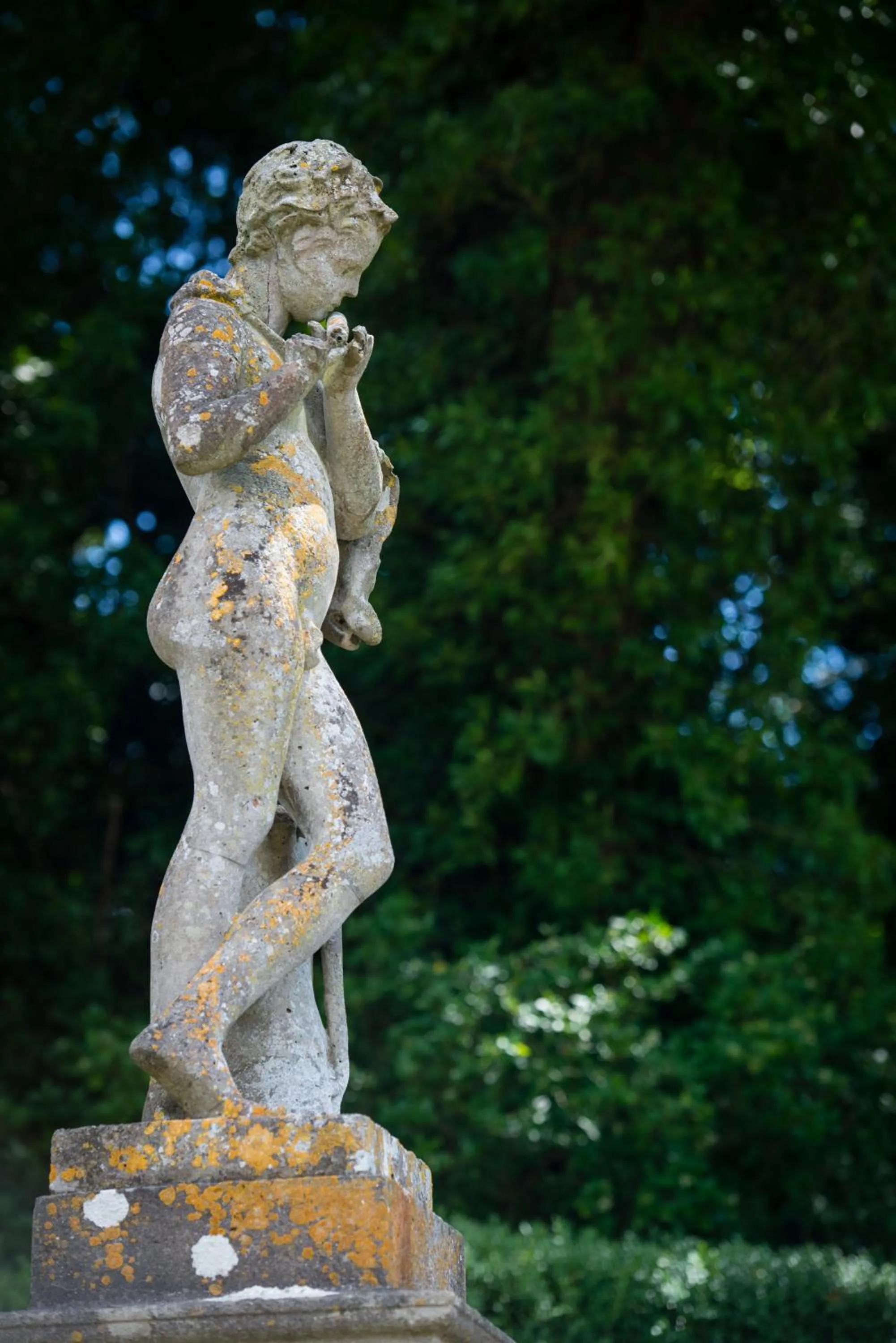 Garden in The Manor House Hotel and Golf Club