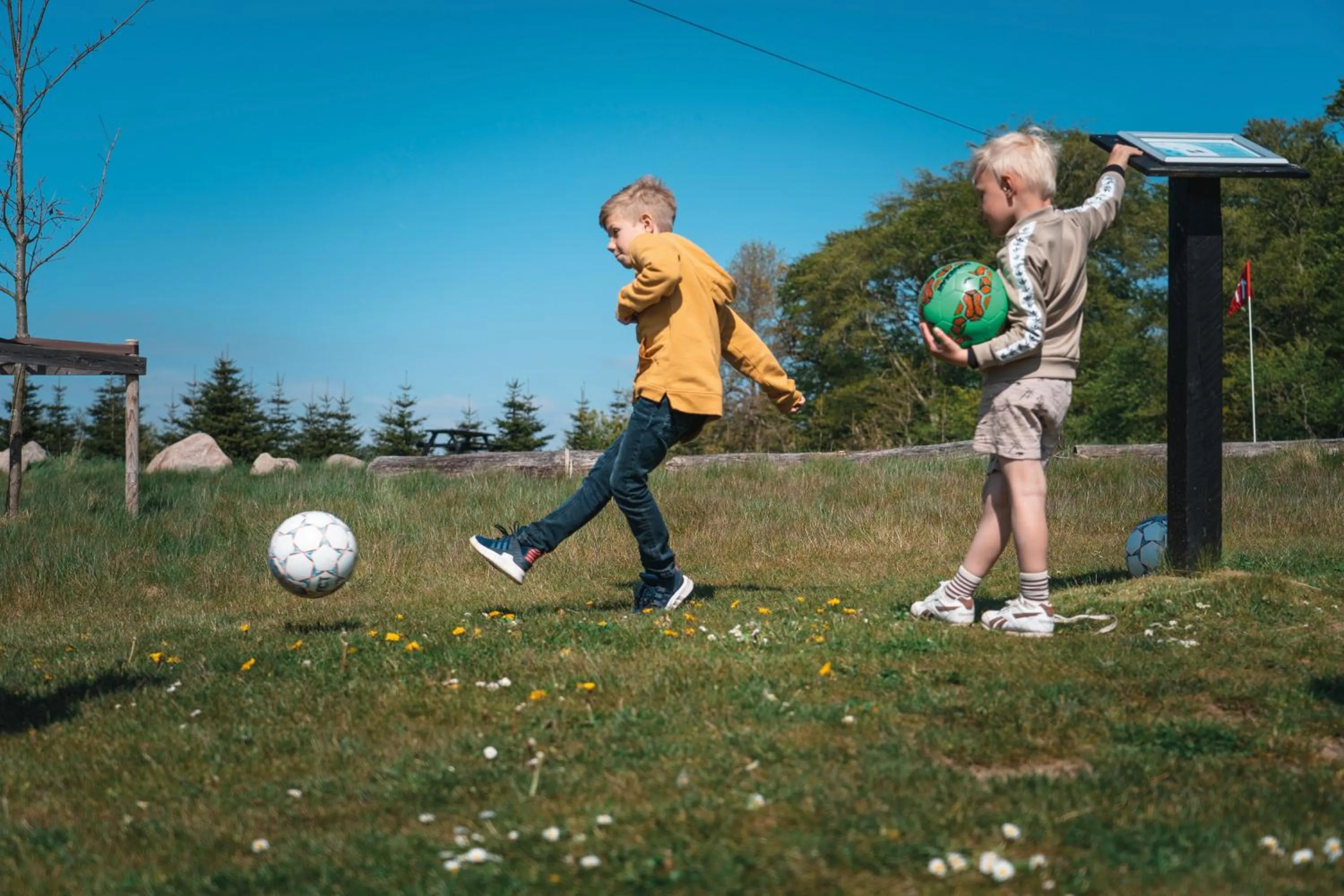 Activities in Kragerup Gods