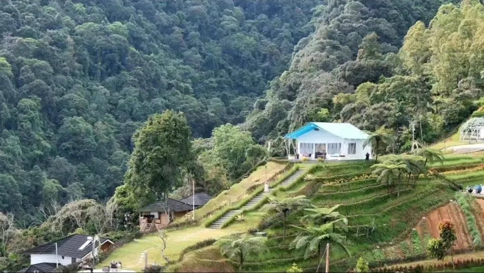 Casa de Monique Villas & Glamping Retreat