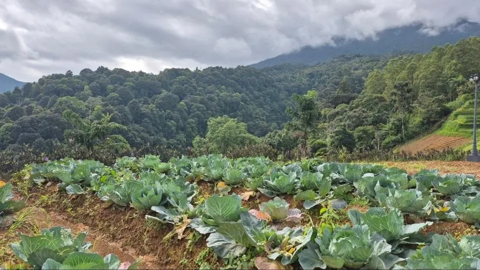 Casa de Monique Villas & Glamping Retreat