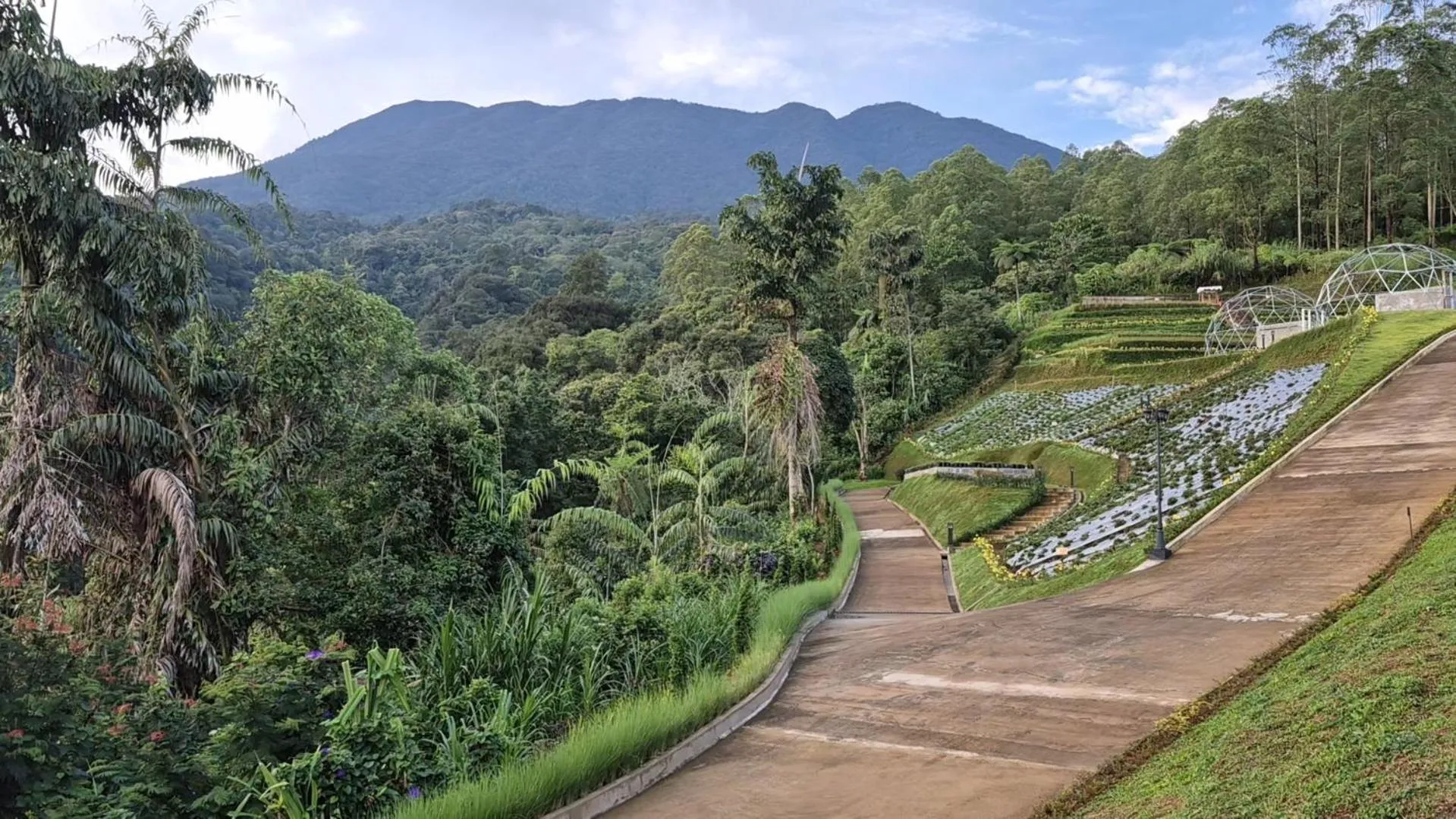 Casa de Monique Villas & Glamping Retreat