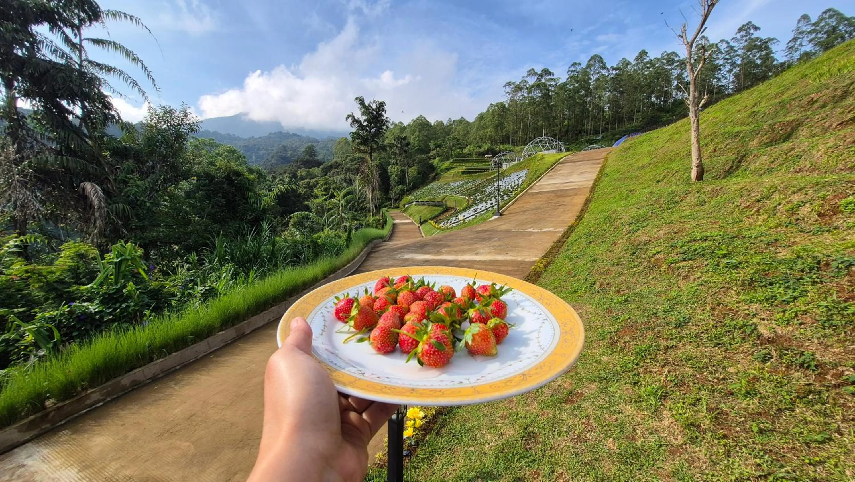 Casa de Monique Villas & Glamping Retreat