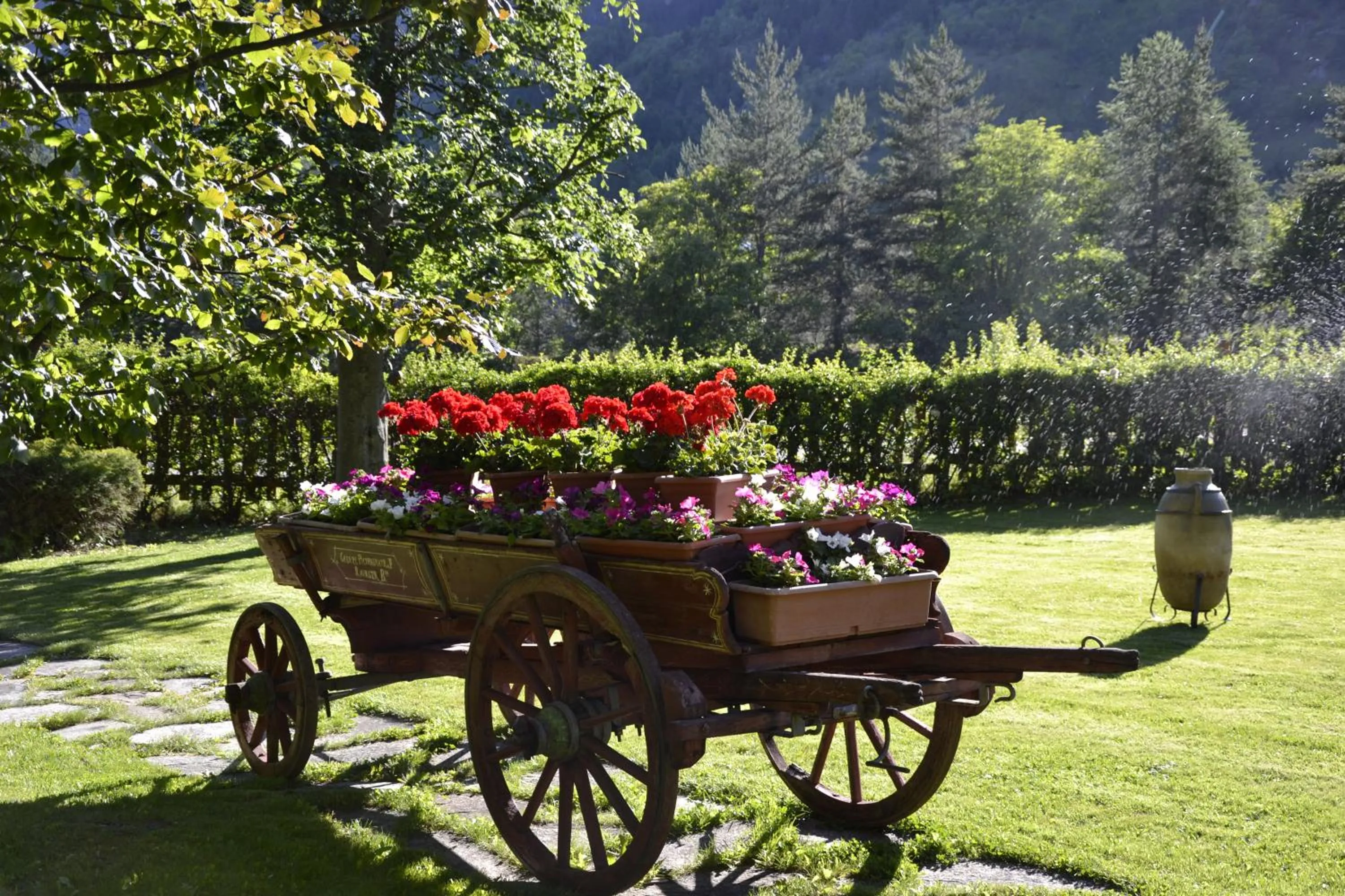 Garden in Hotel Bucaneve