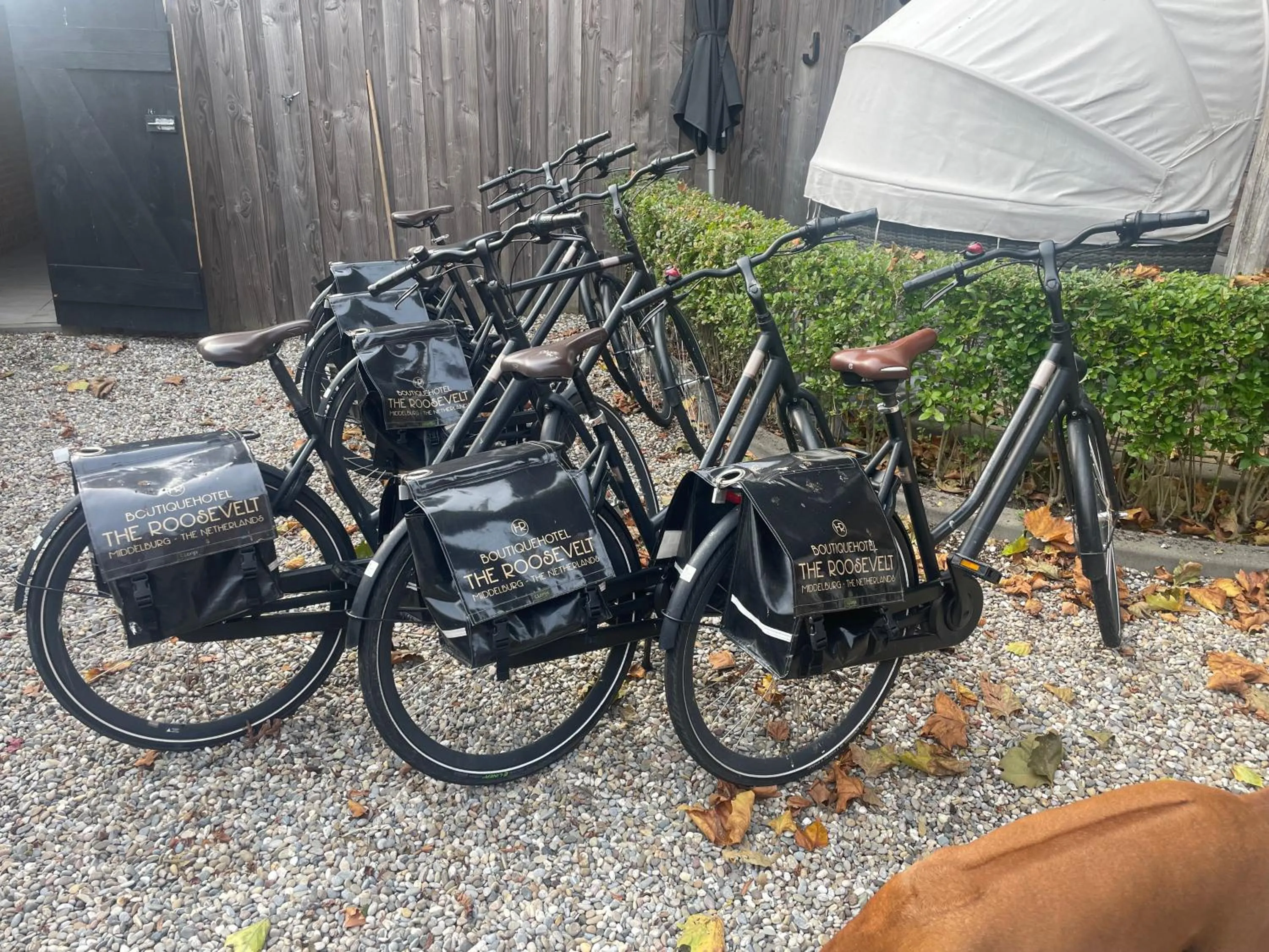 Cycling in Boutique Hotel The Roosevelt