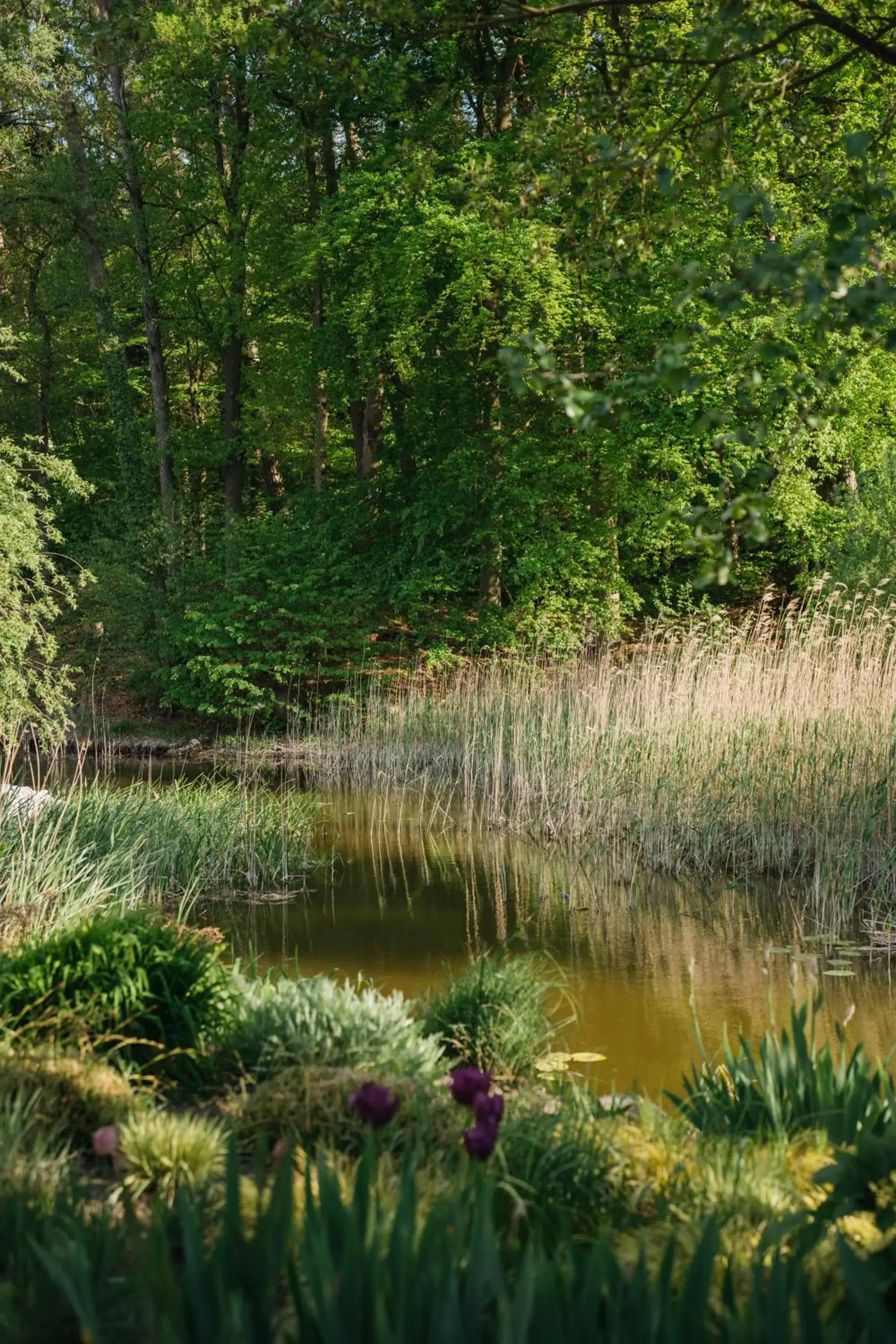 Property building in Mühle Tornow am Wentowsee Property building in Mühle Tornow am Wentowsee