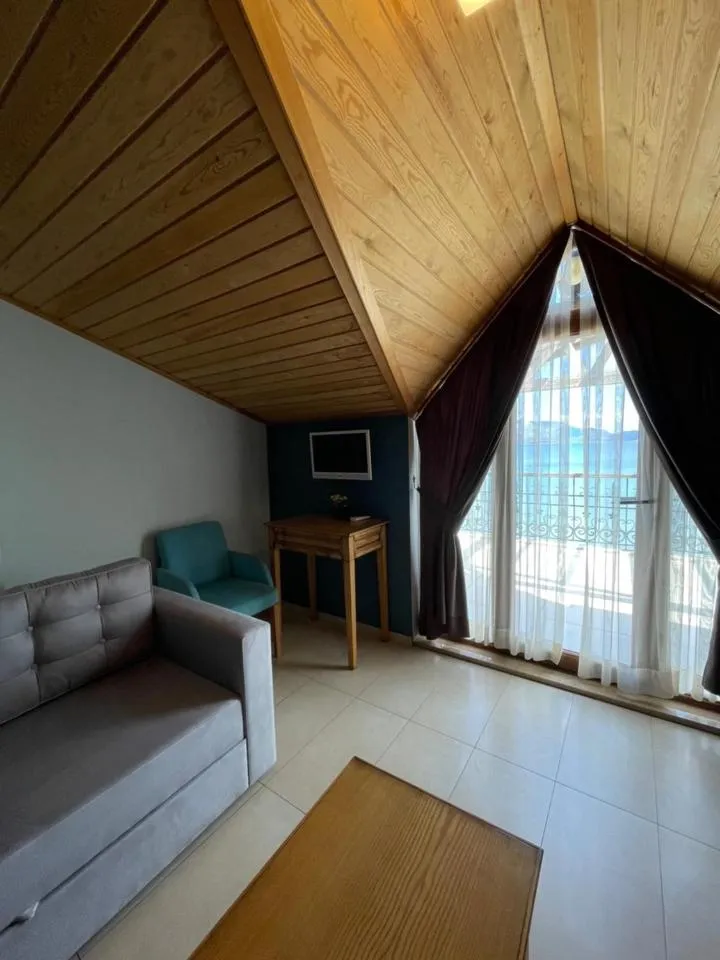 TV and multimedia in Veziroğlu Apart