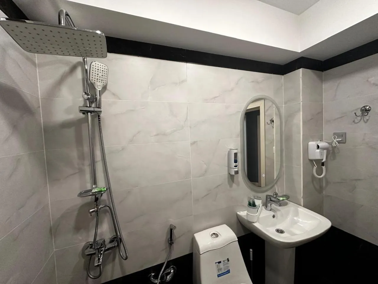 hair dryier in Royal Meridien Hotel