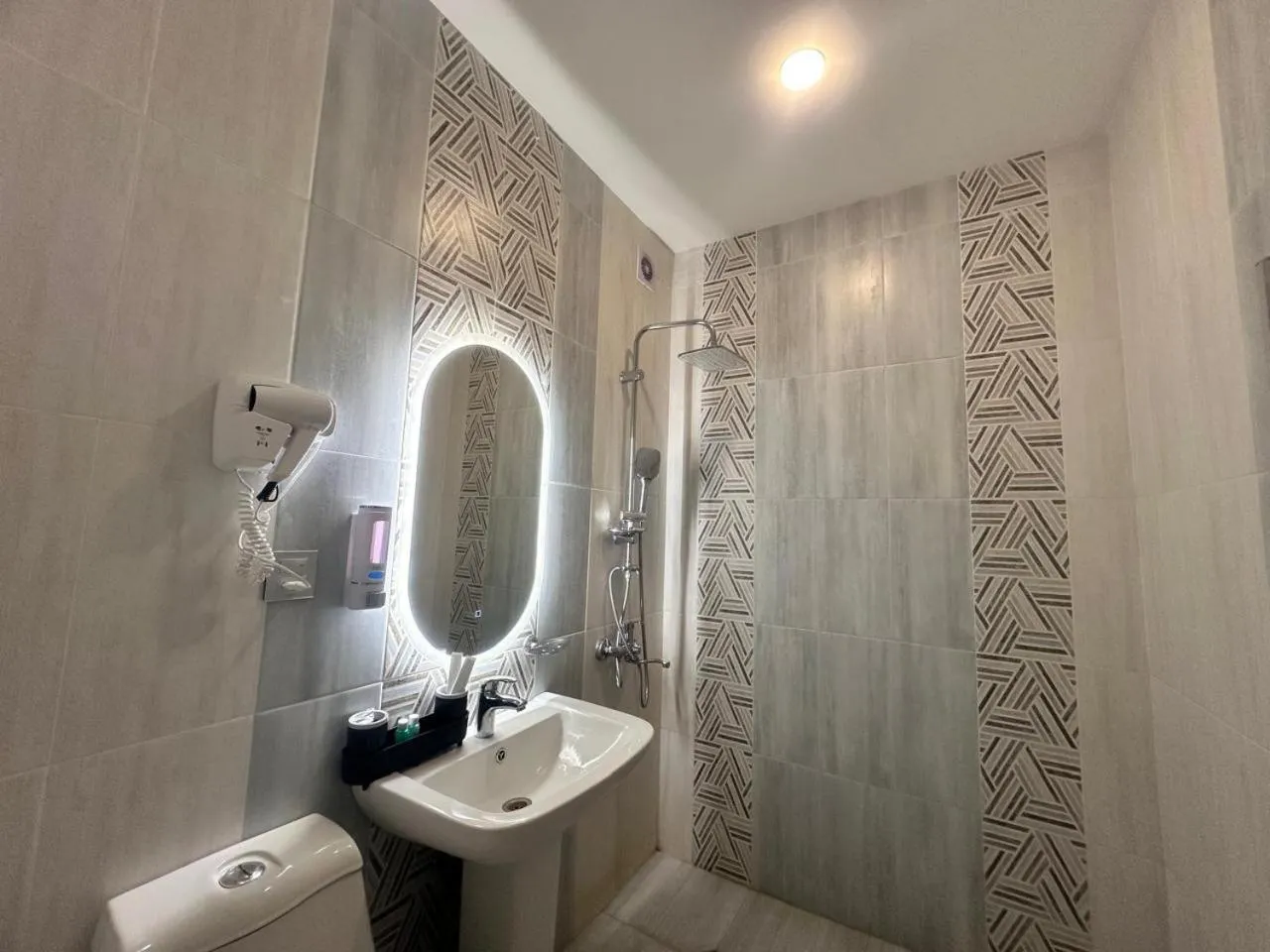 Shower in Royal Meridien Hotel