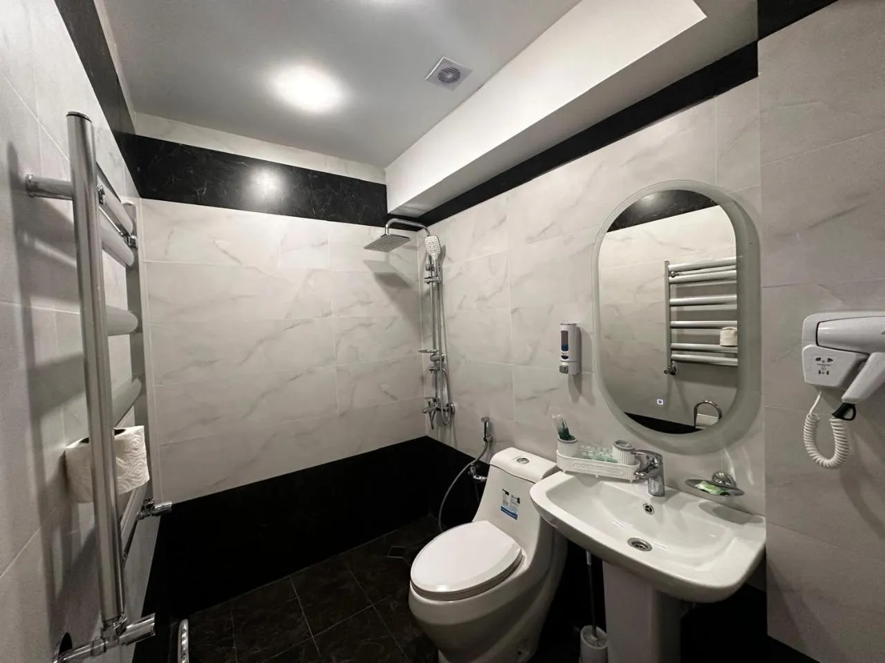 Shower in Royal Meridien Hotel