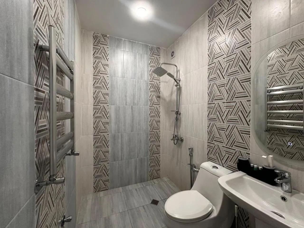 Shower in Royal Meridien Hotel