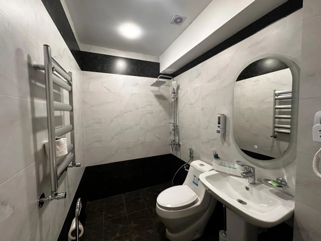 Shower in Royal Meridien Hotel