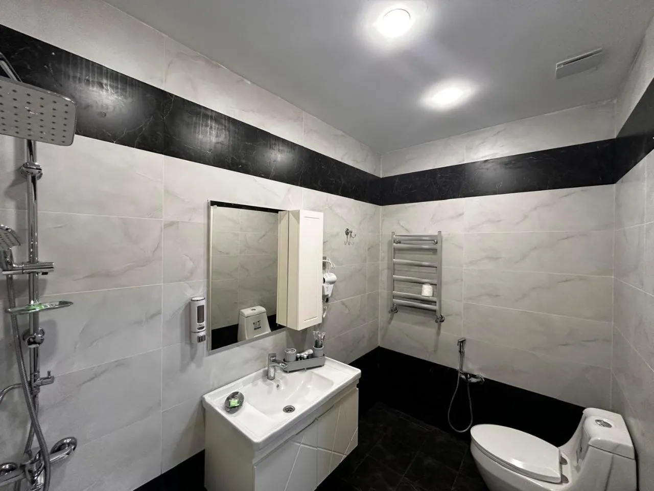 Shower in Royal Meridien Hotel