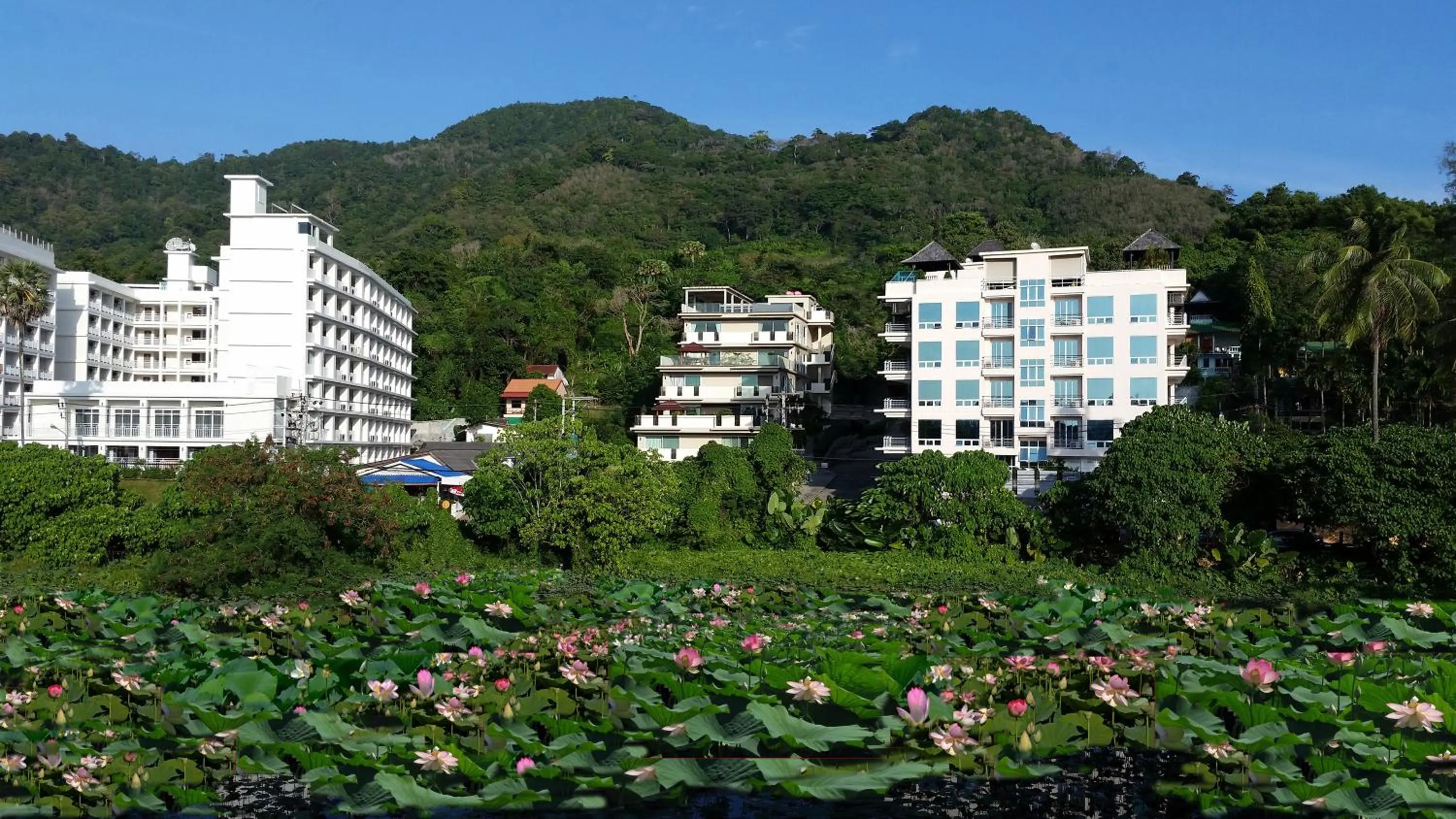 Area and facilities in Karon Suite Apartment