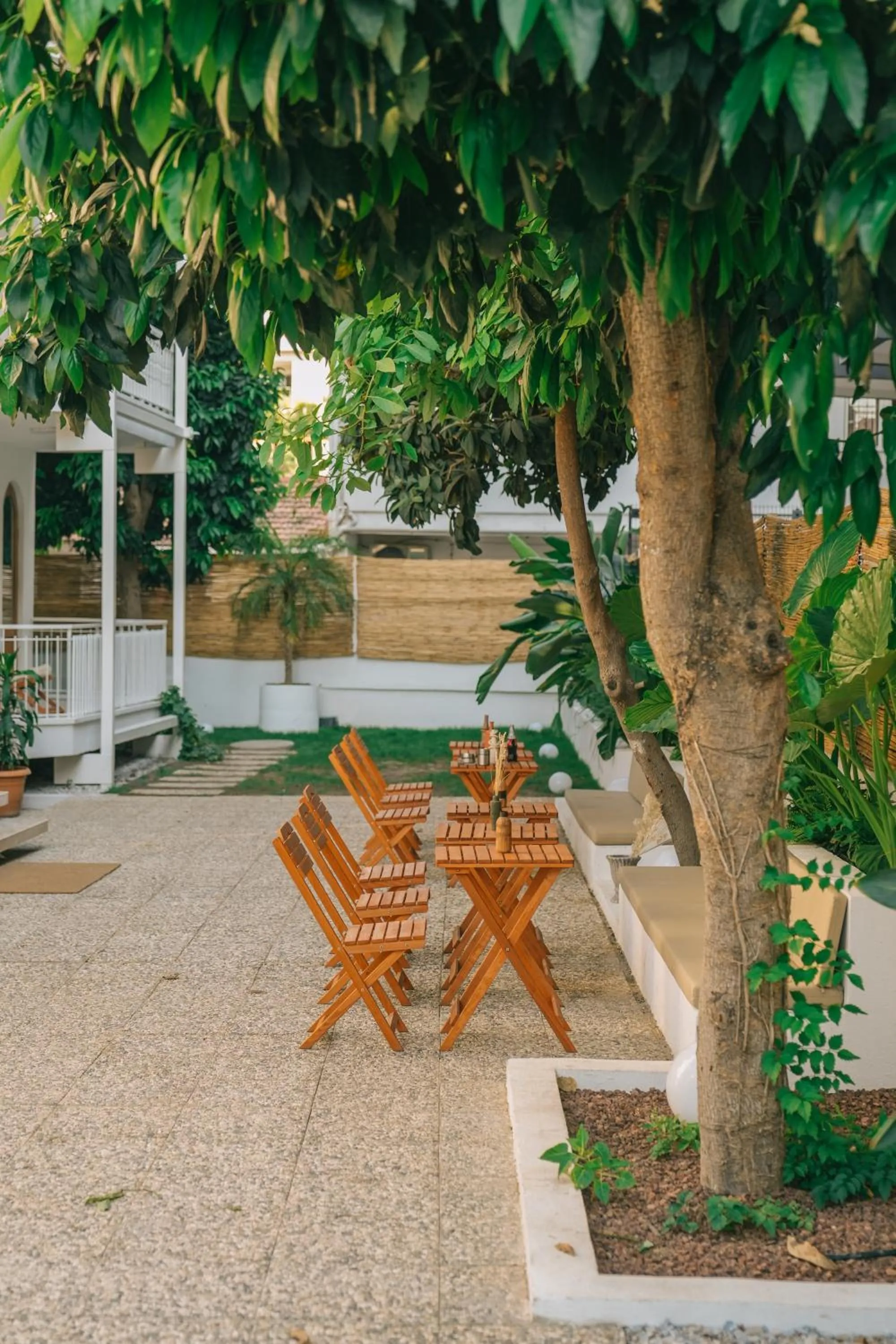 Garden in Nephos Beach Hotel