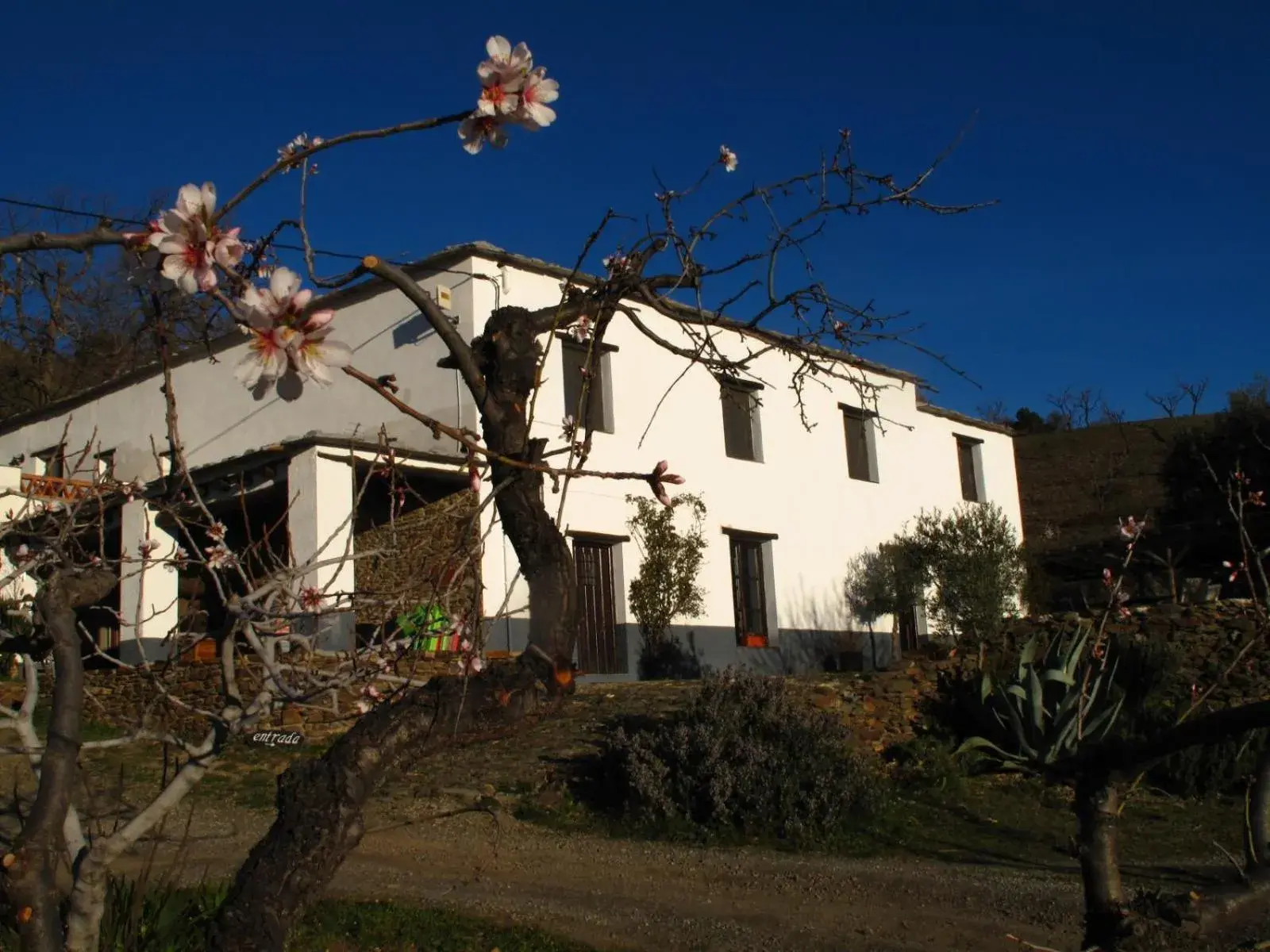 Casa Rural El Paraje de Berchules Casa Rural El Paraje de Berchules