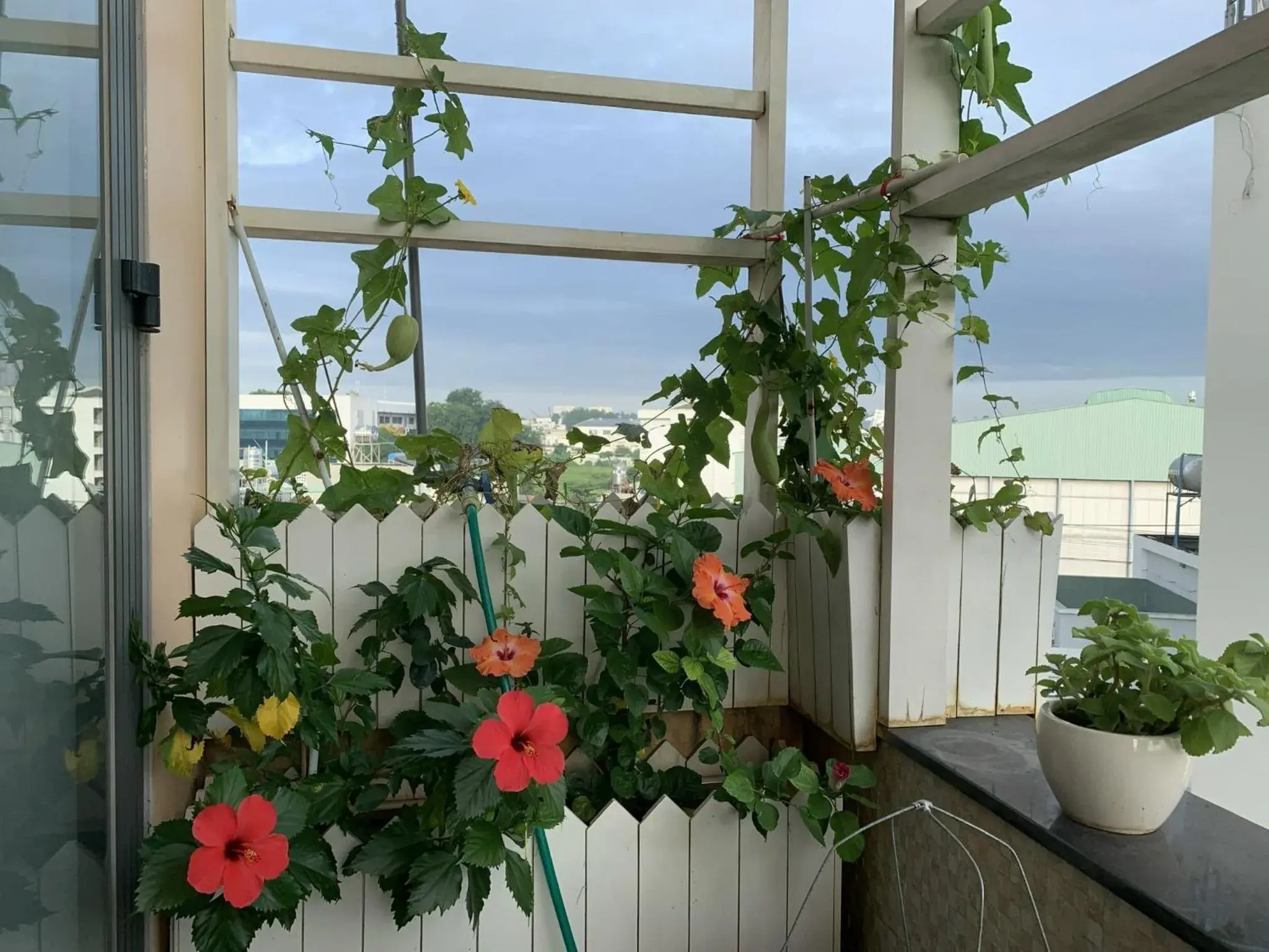 Property building in Ha Long hotel Property building in Ha Long hotel