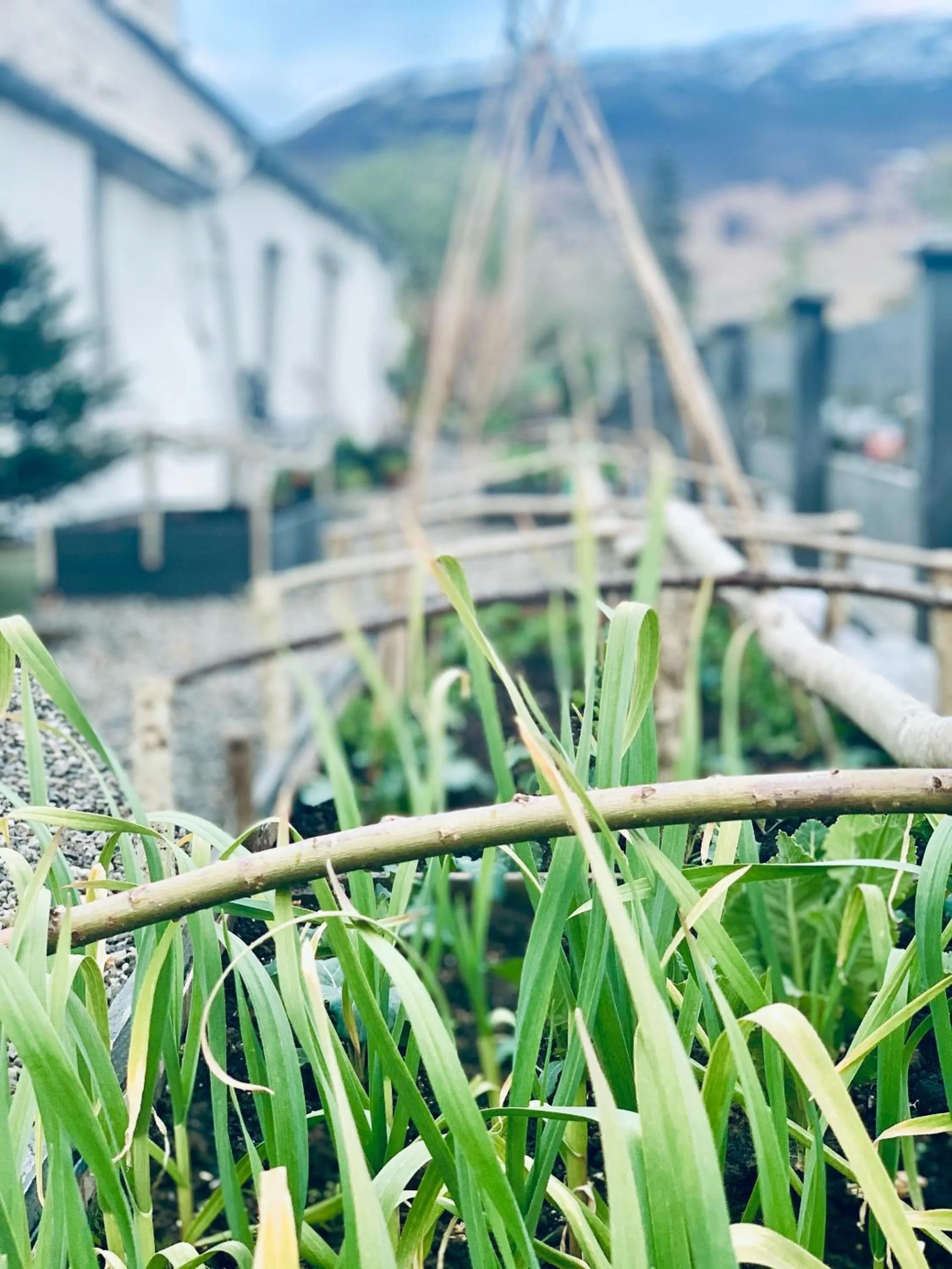 Garden in Wester Auchraw Longhouse Artful highland stay