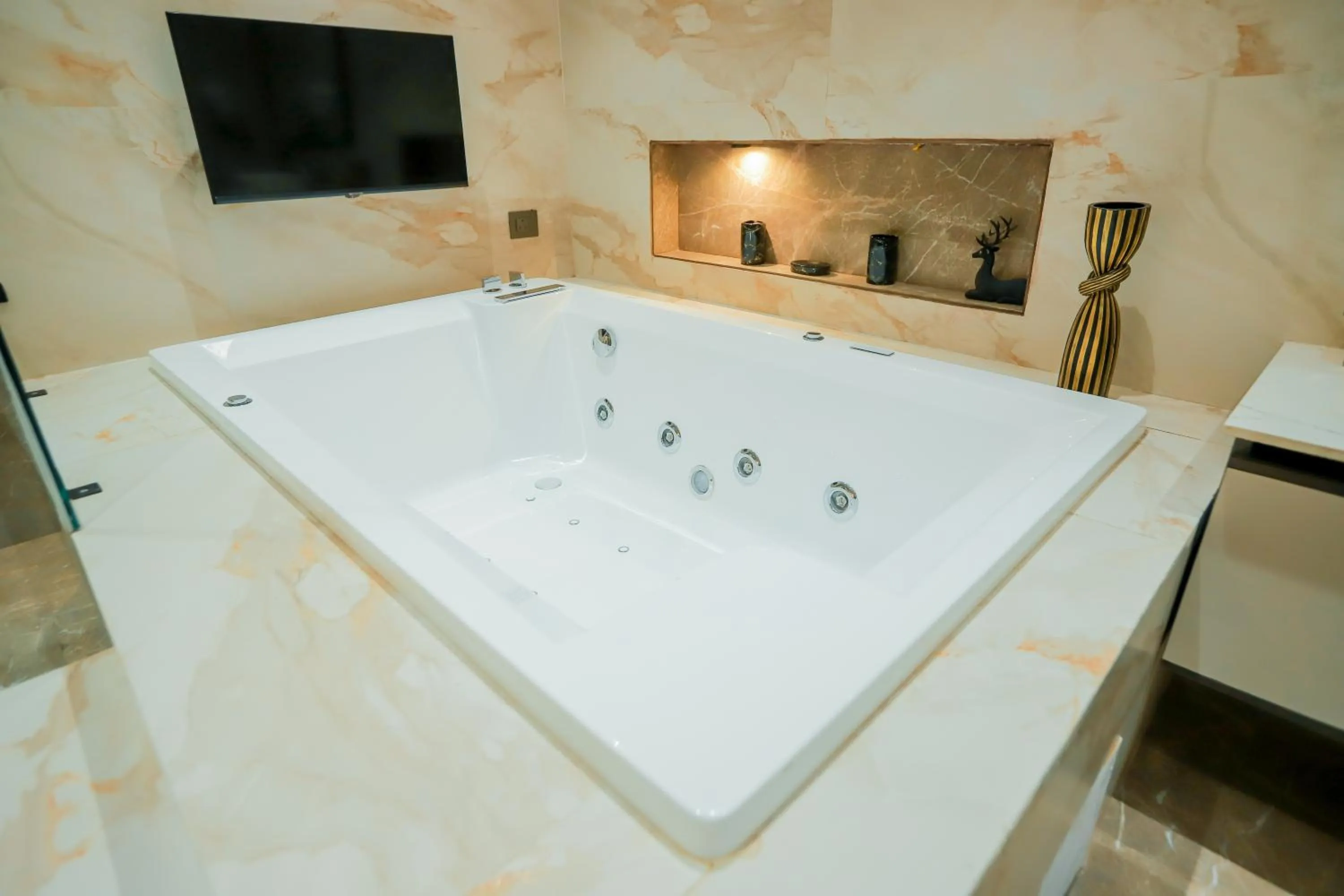 TV and multimedia in Bel-La Monde Hotel Chhattarpur South Delhi