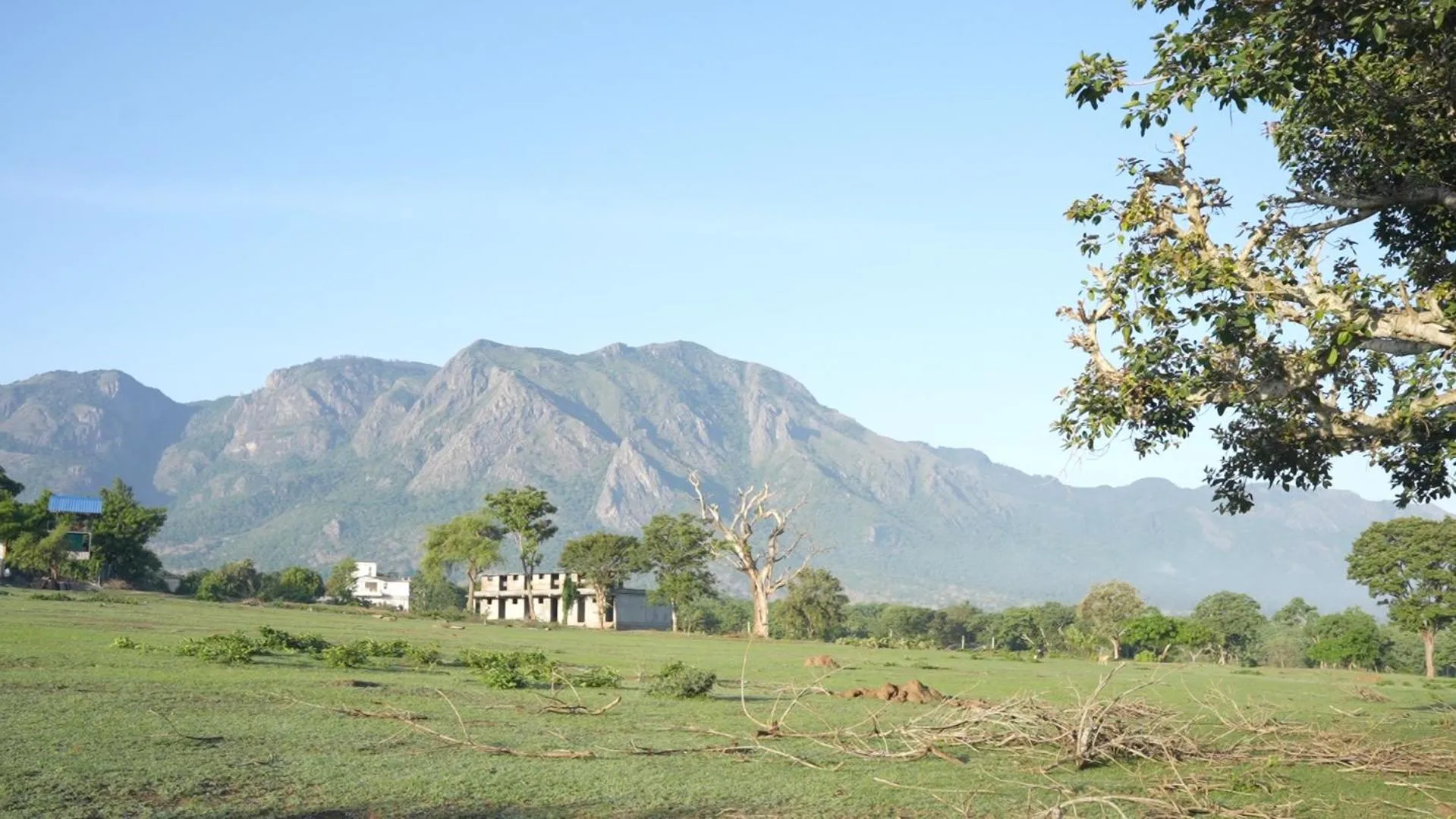Natural landscape in Wild Tusker Homestay Masinagudi by LexStays
