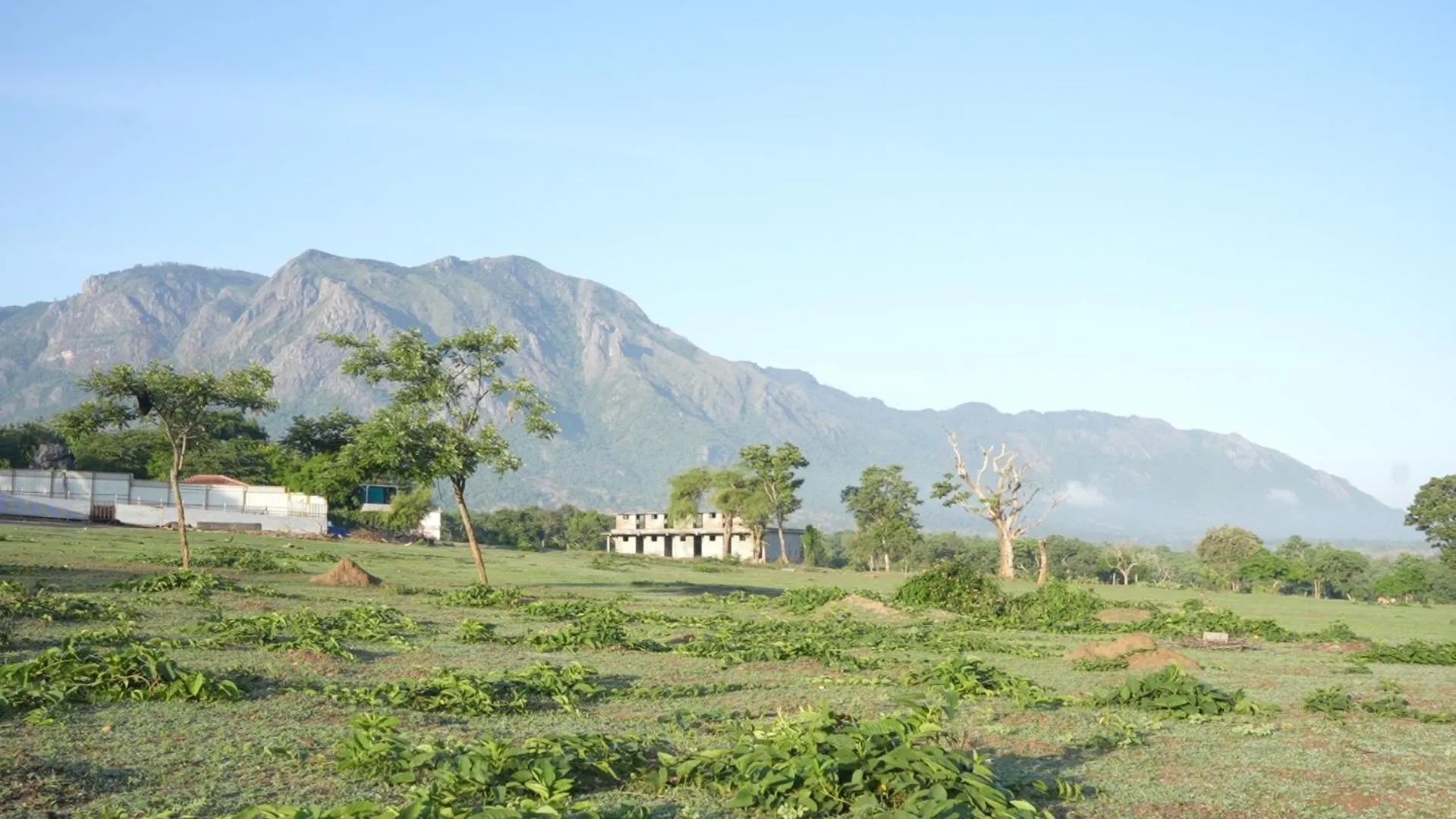 Neighbourhood in Wild Tusker Homestay Masinagudi by LexStays