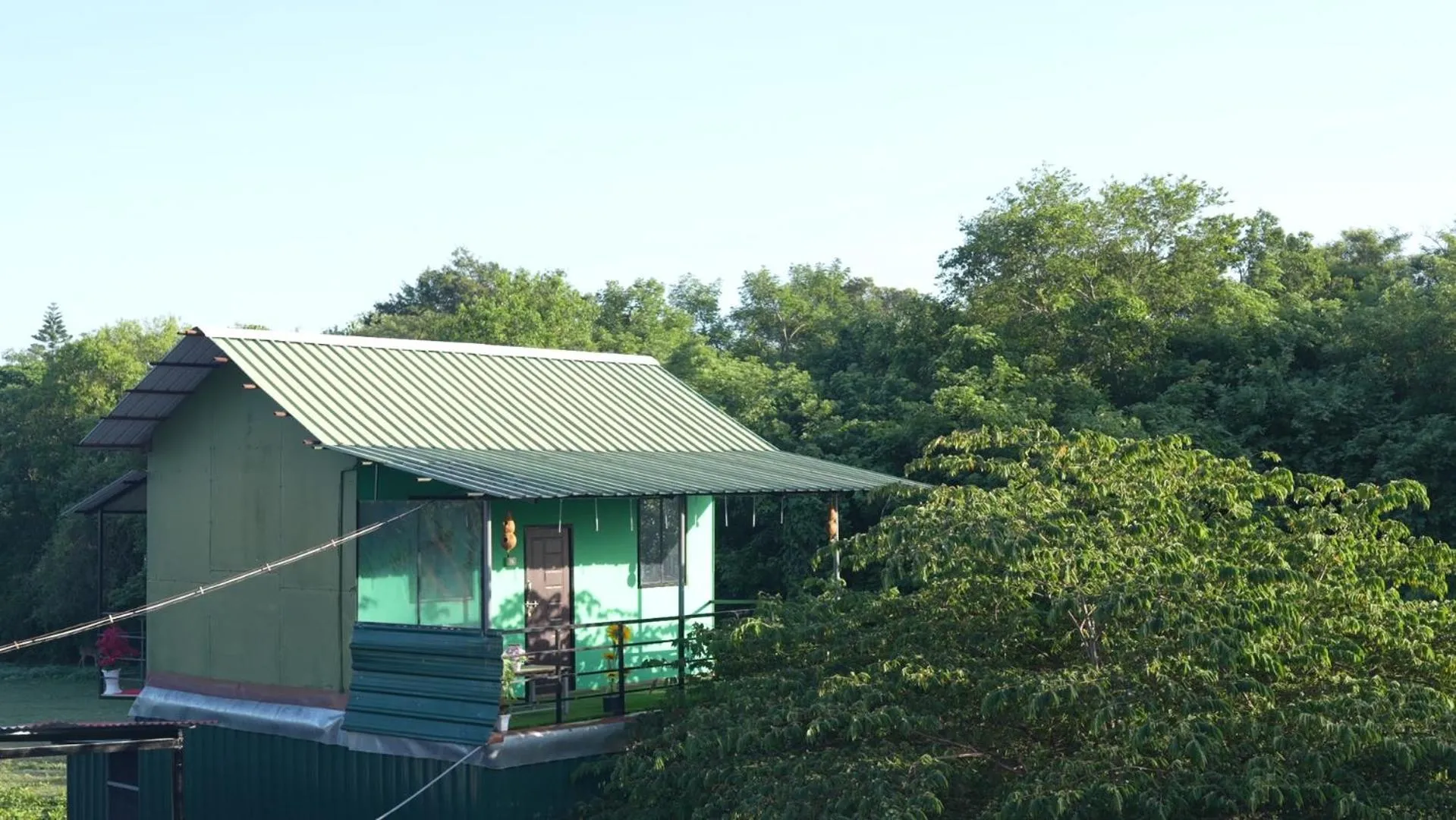 Property building in Wild Tusker Homestay Masinagudi by LexStays