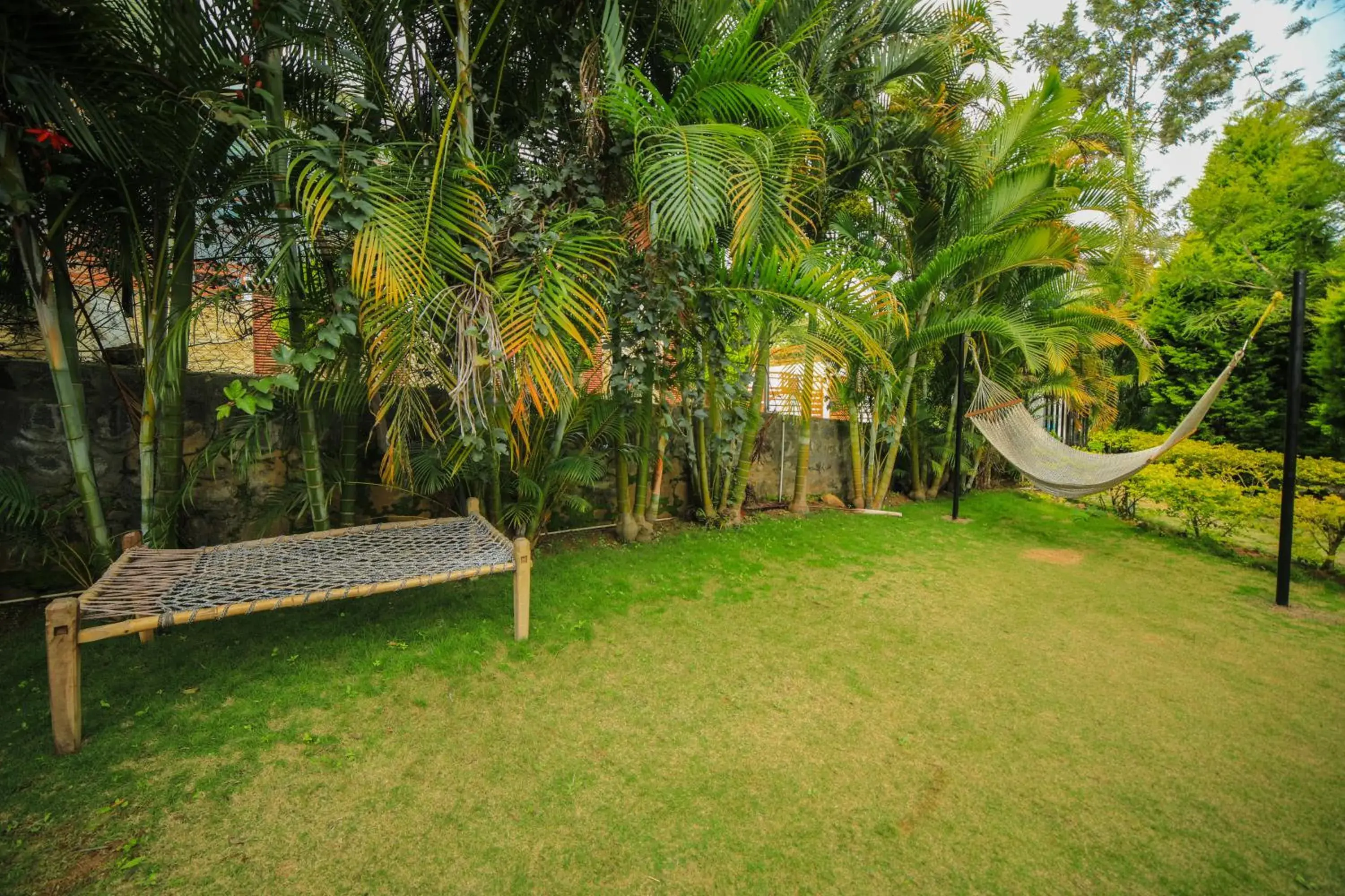 Garden view in WOW Bungalow Garden view in WOW Bungalow