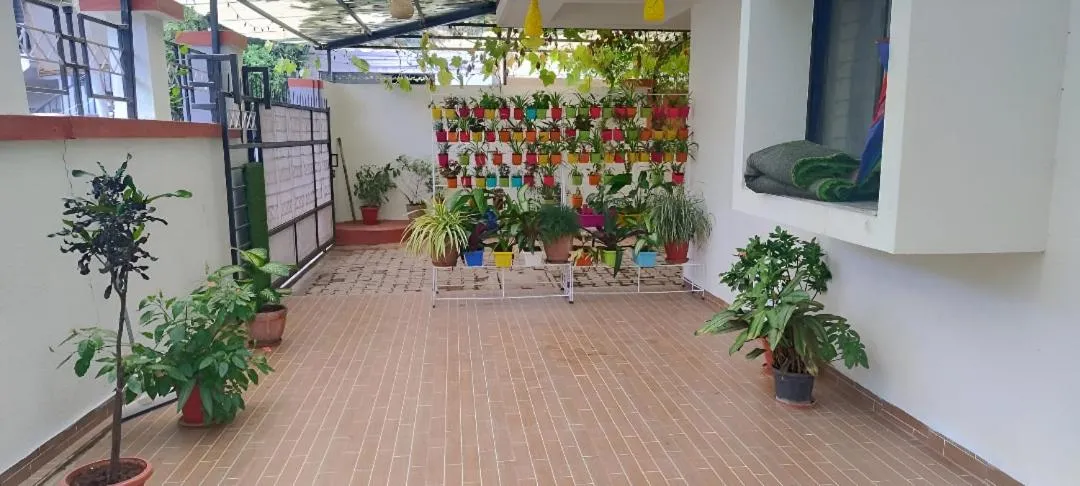 Garden view in DatsunG Studios