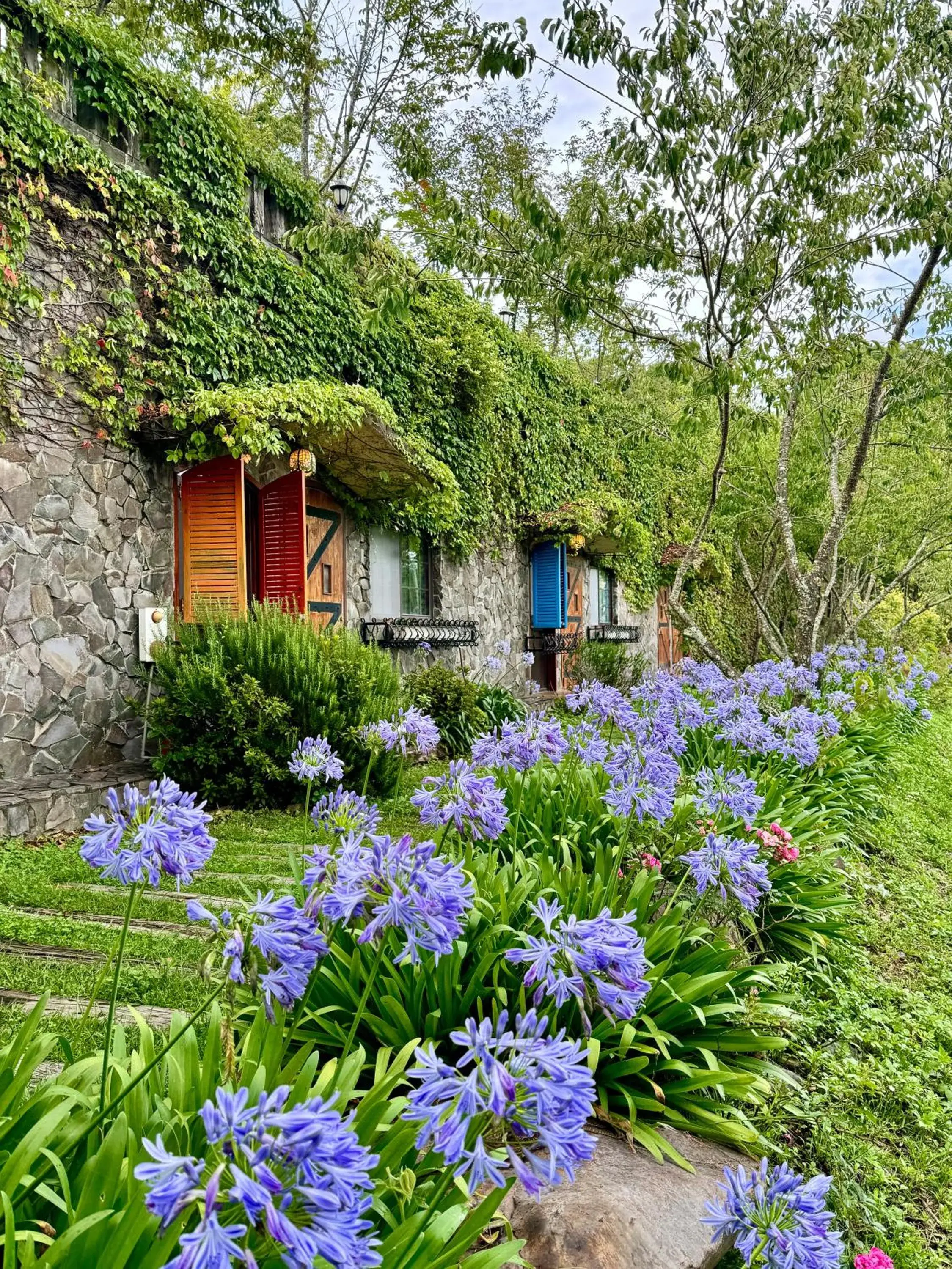 Property building in 日初雲來民宿 Property building in 日初雲來民宿