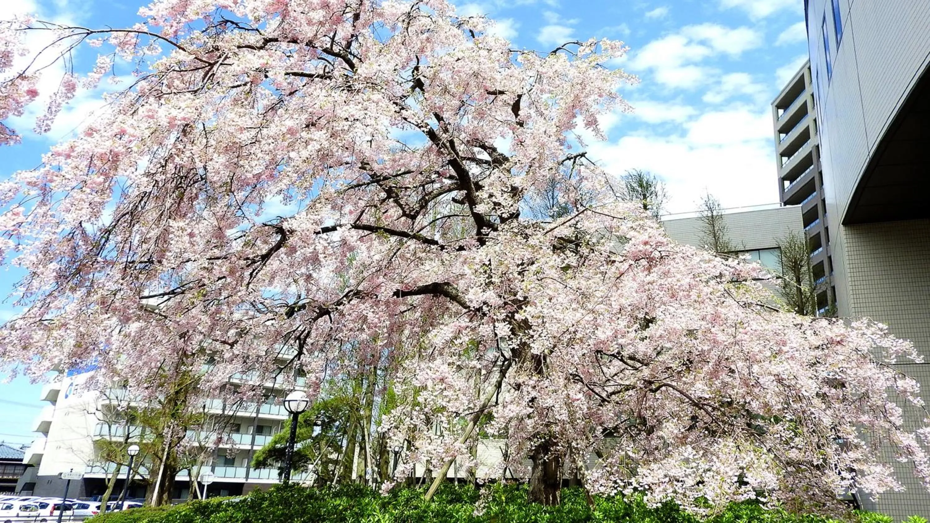Area and facilities in ANA Crowne Plaza Niigata by IHG