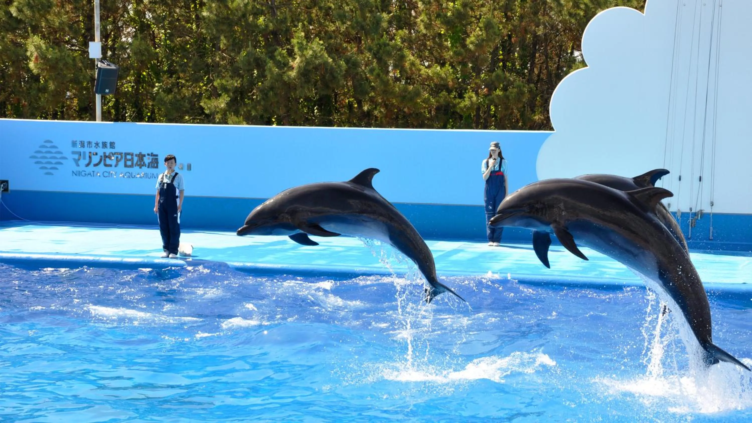 Nearby landmark in ANA Crowne Plaza Niigata by IHG