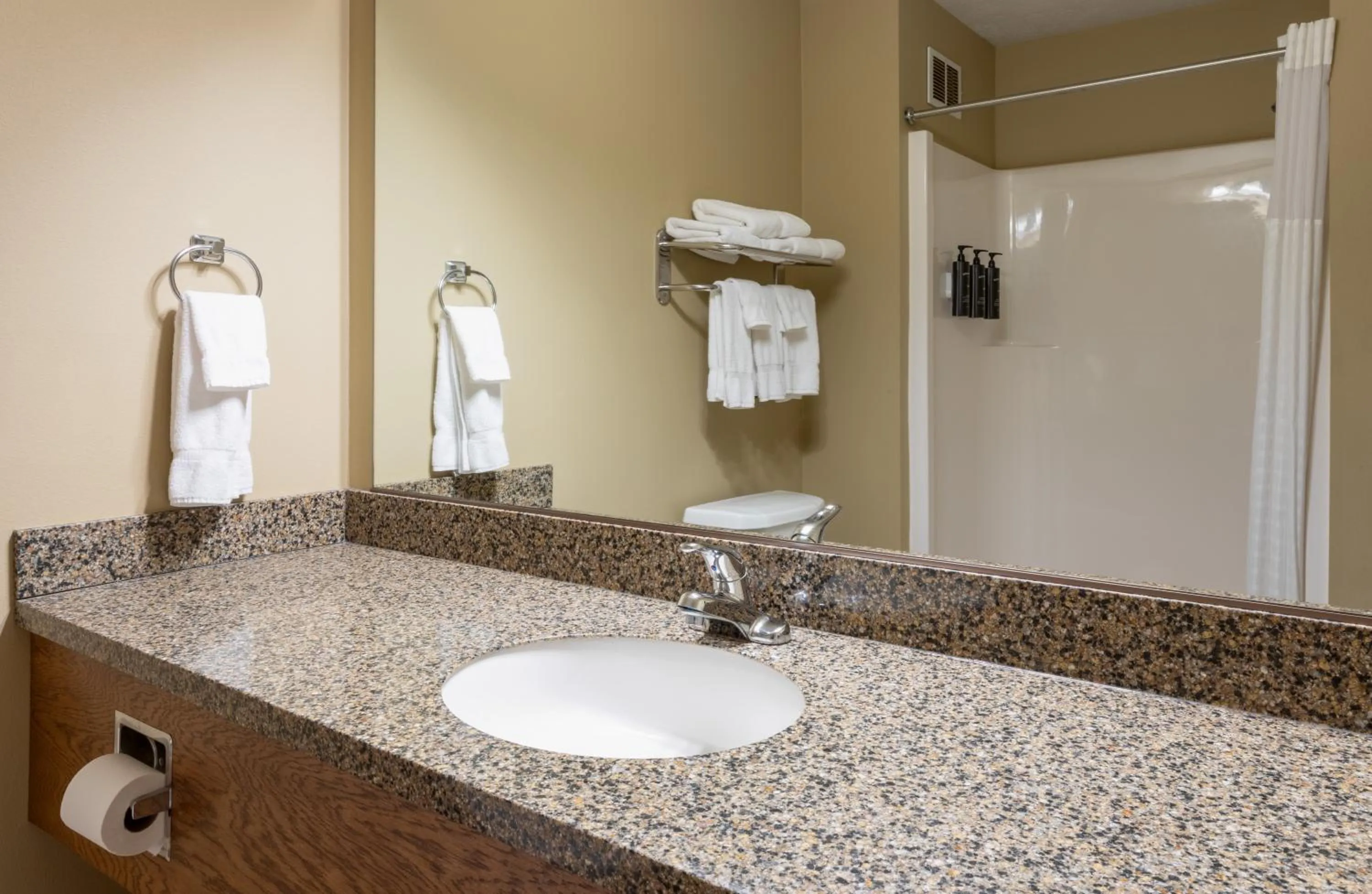 Bathroom in GrandStay Inn & Suites of Luverne