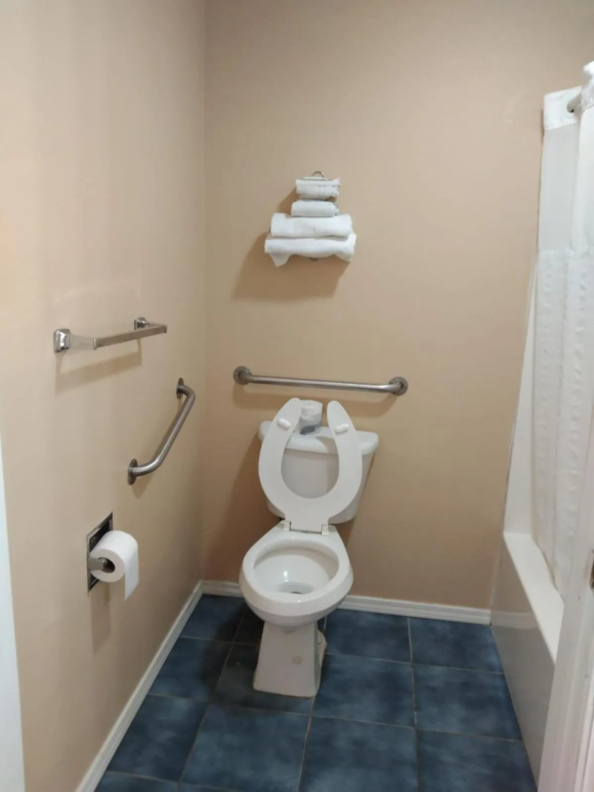 Toilet in American Motel