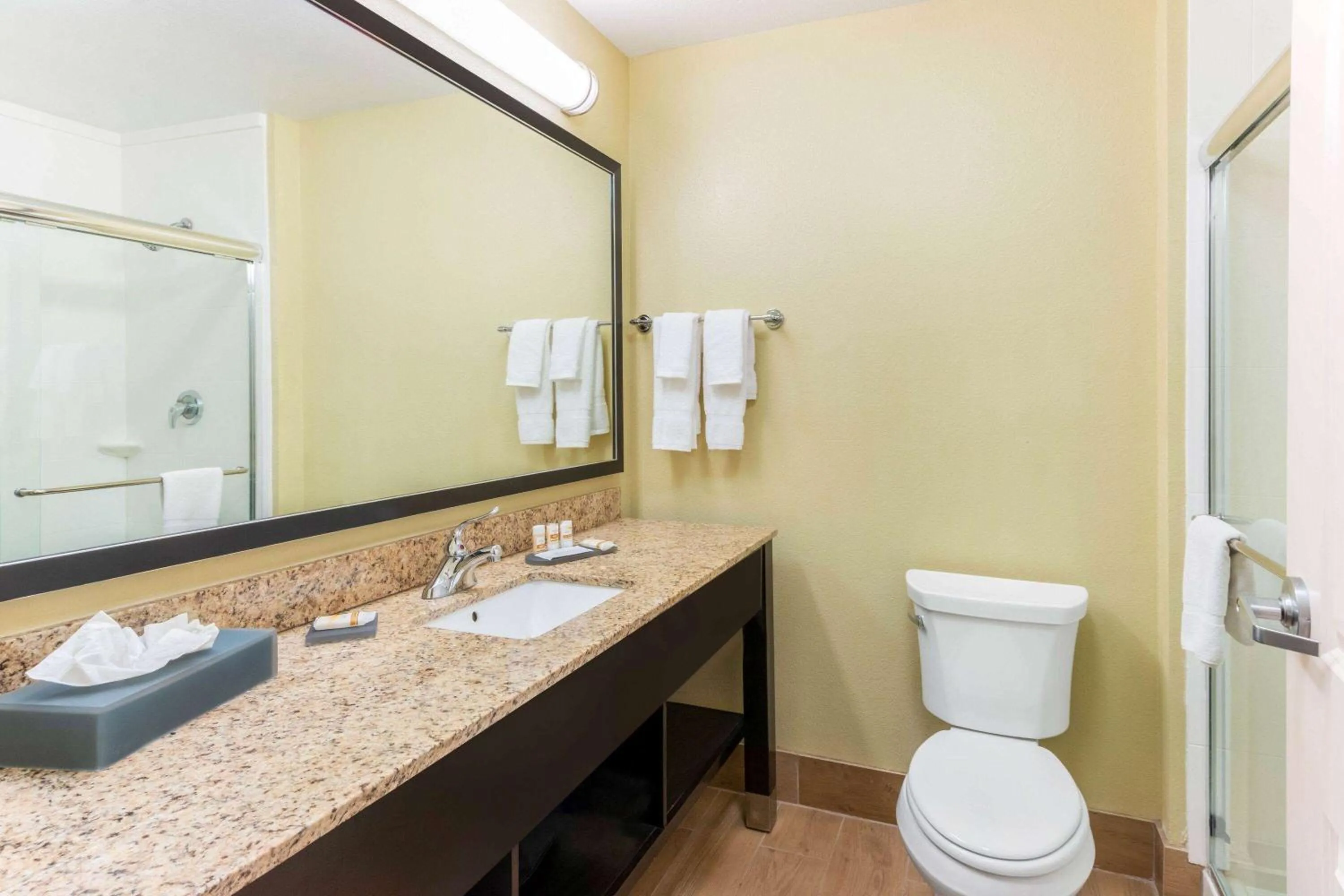 Bathroom in La Quinta by Wyndham Carlsbad