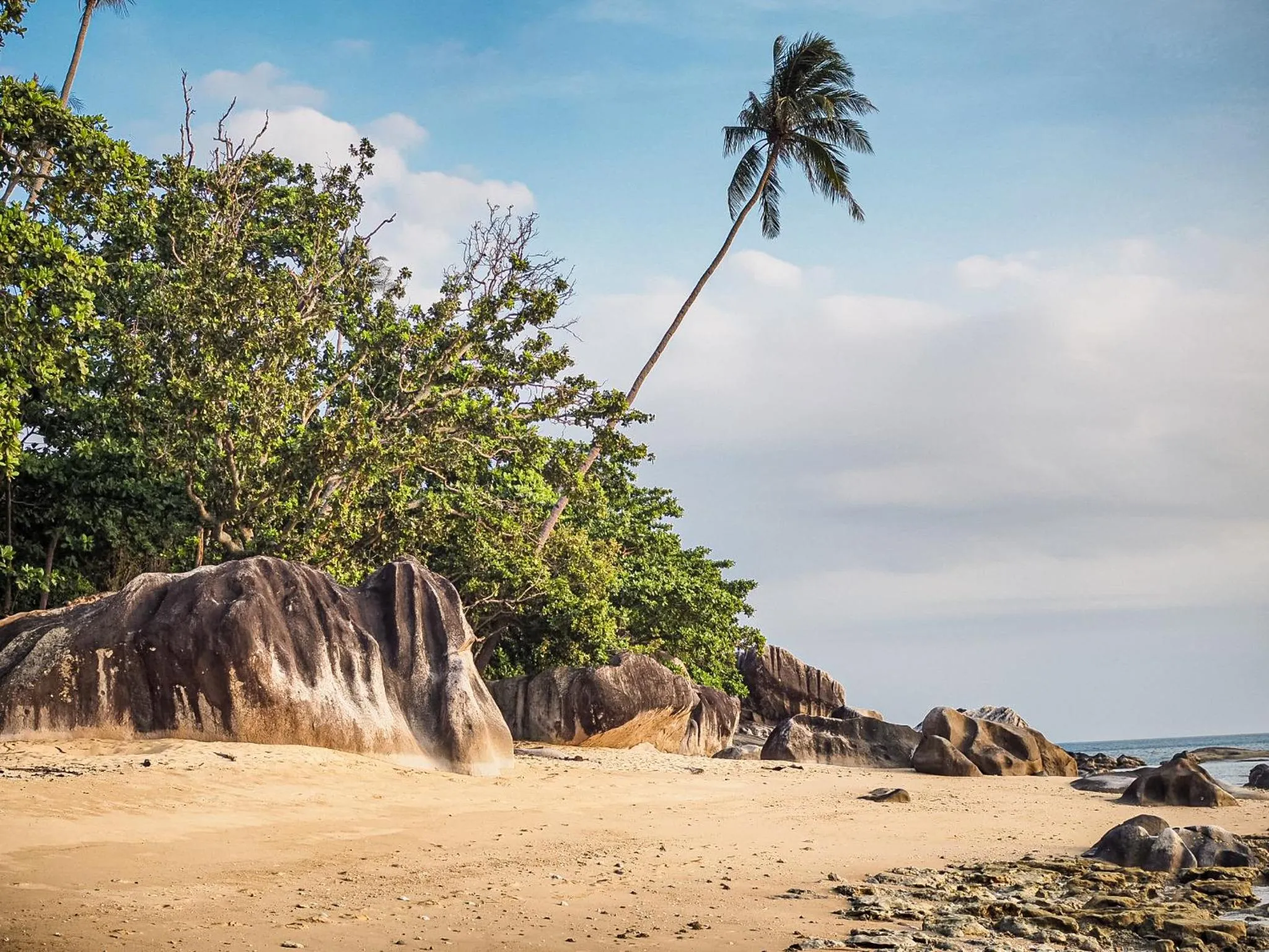Natural landscape in Melina Beach Resort