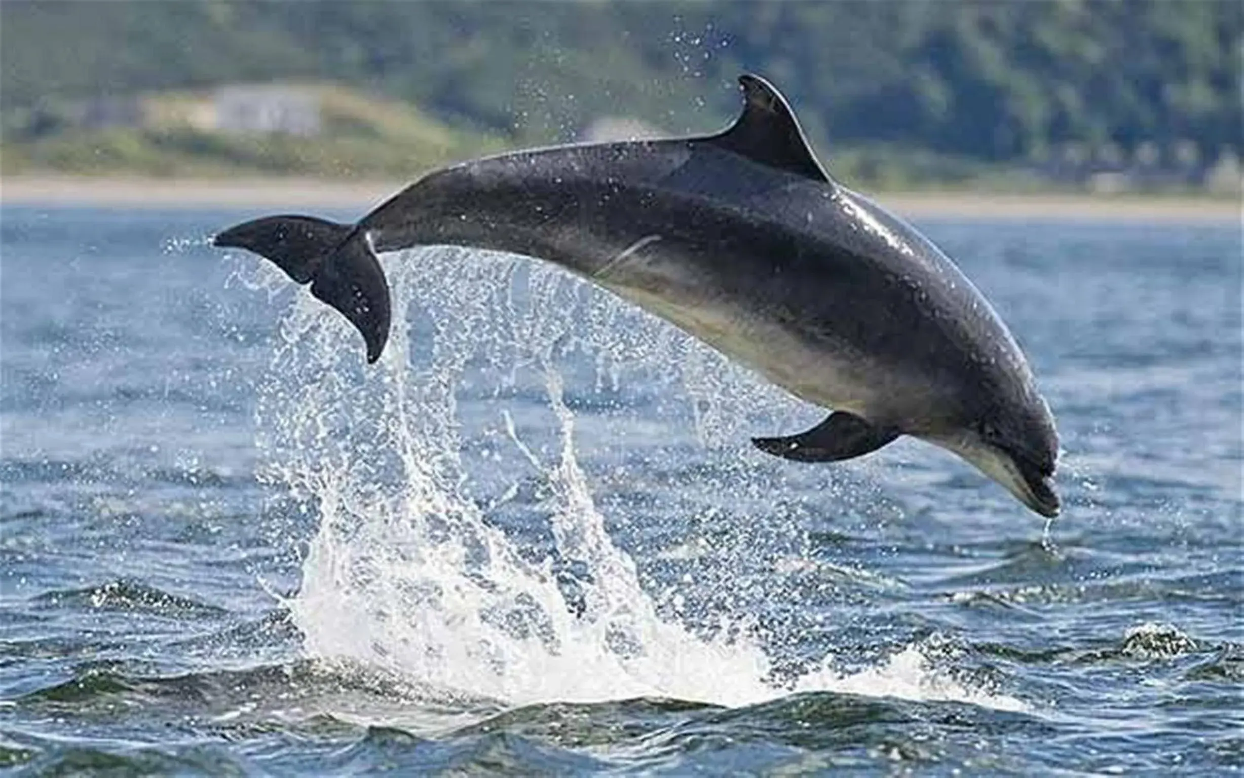 Facade/entrance in Nethybridge Hotel Facade/entrance in Nethybridge Hotel